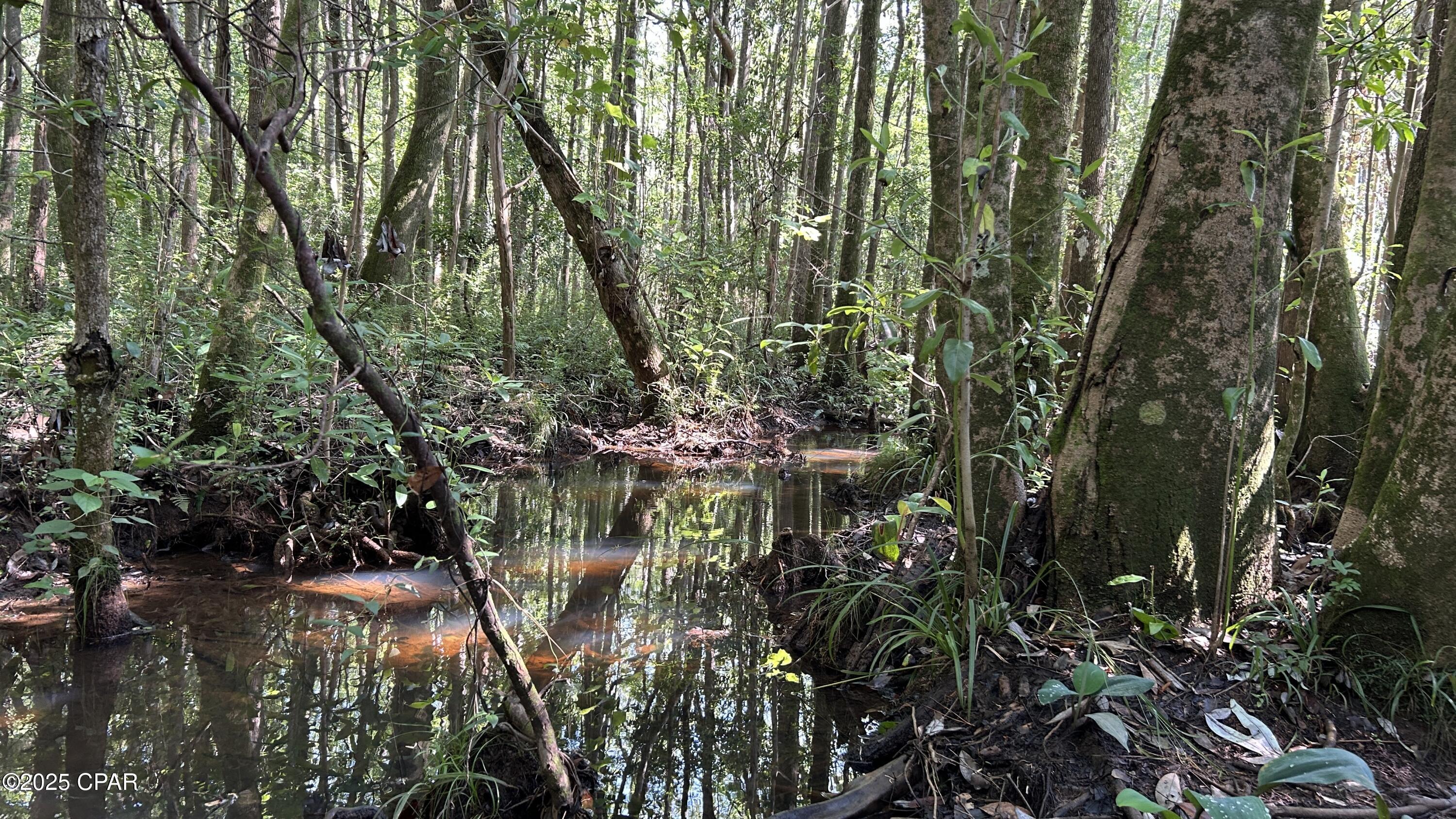 Image 17 For Xxx Co 147 Highway