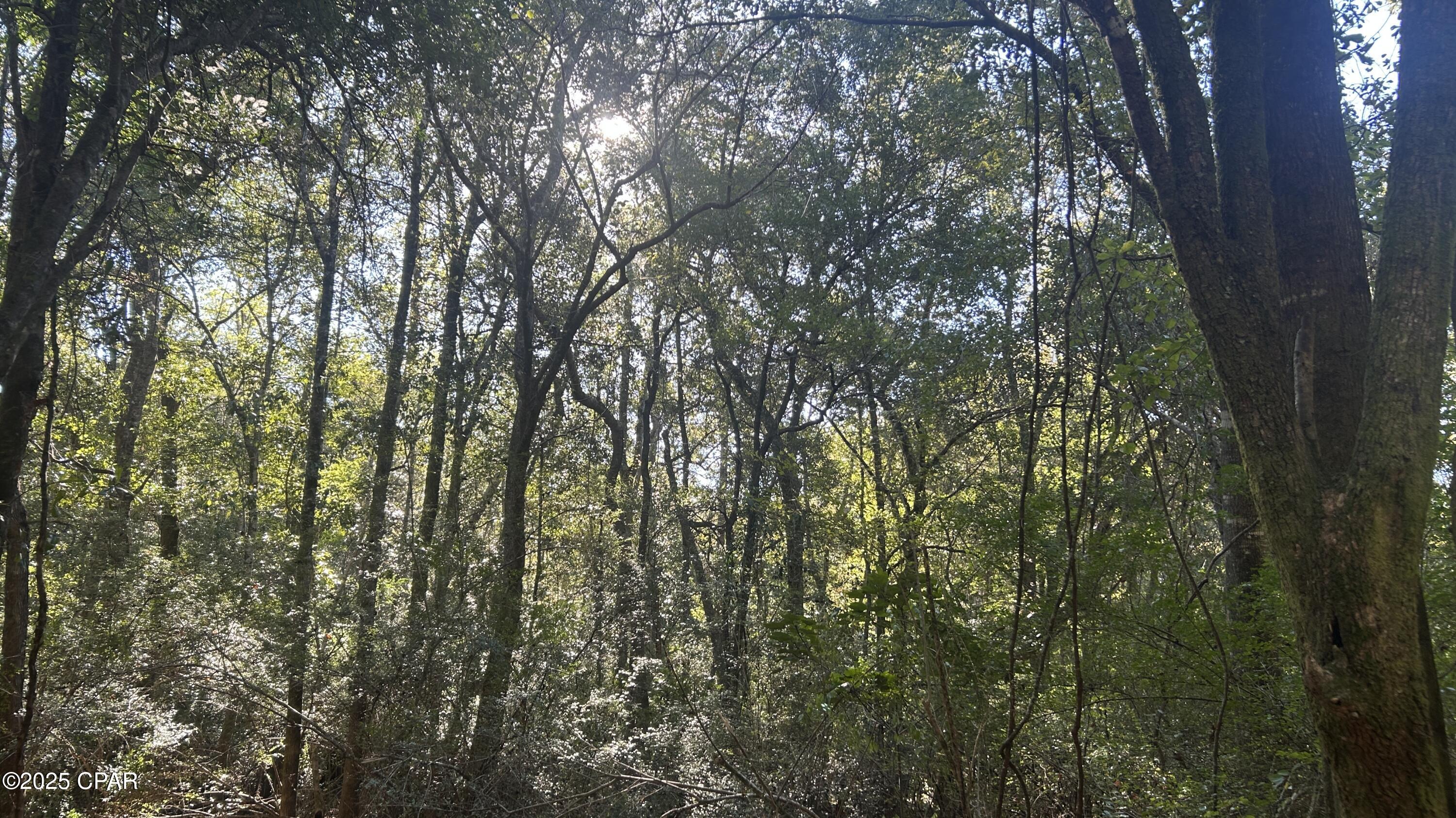 Image 18 For Xxx Co 147 Highway