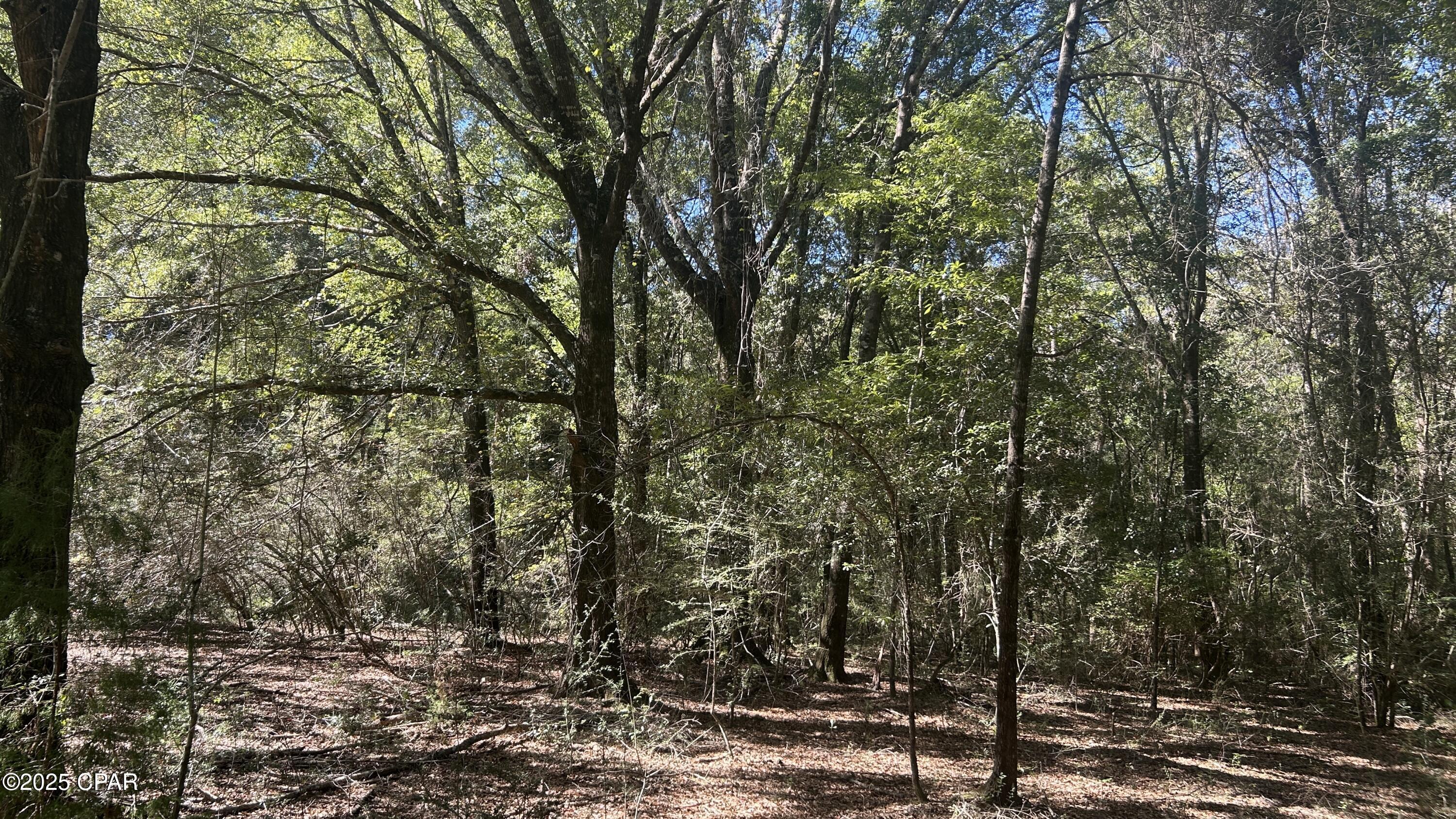 Image 19 For Xxx Co 147 Highway