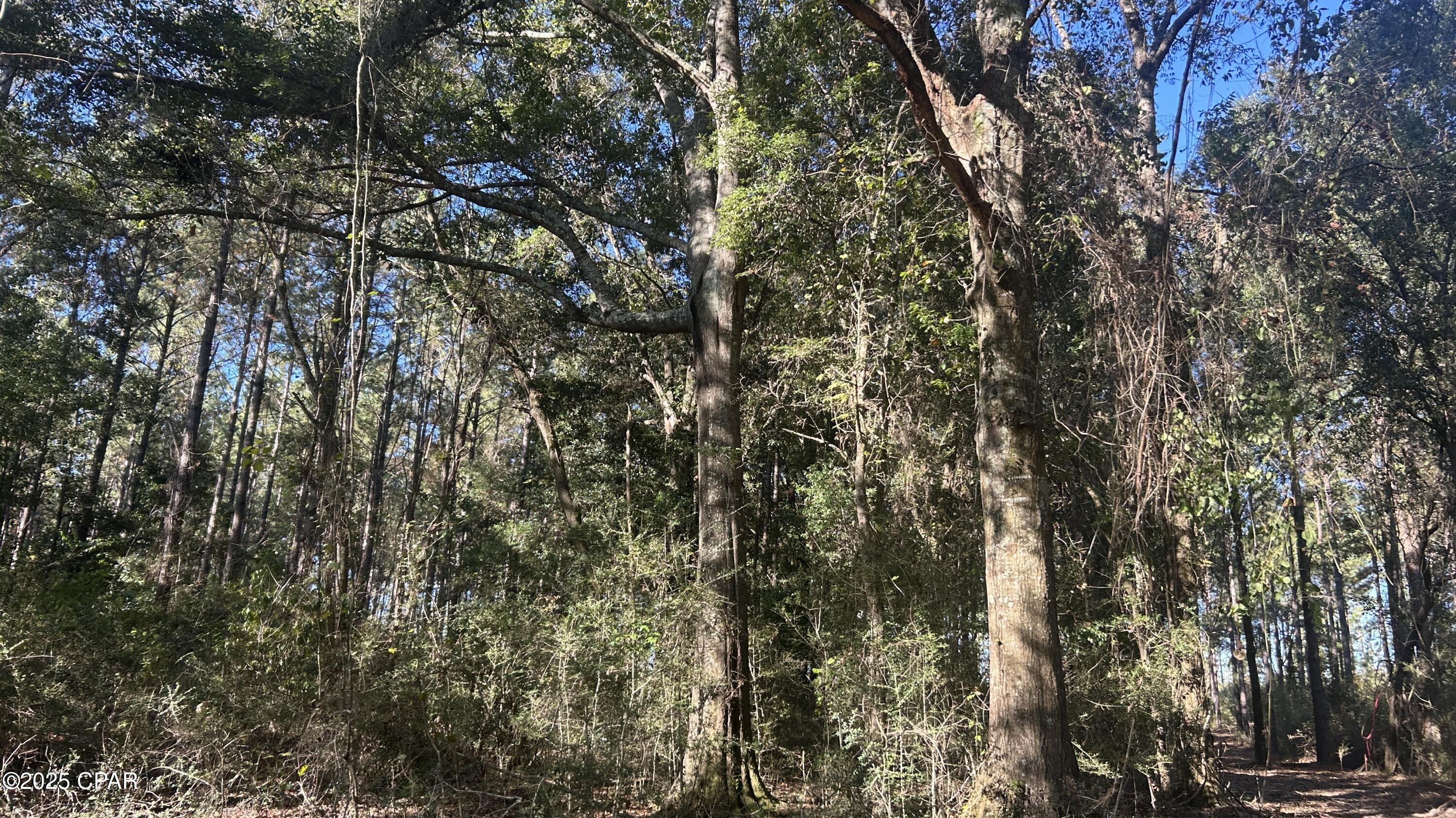 Image 20 For Xxx Co 147 Highway