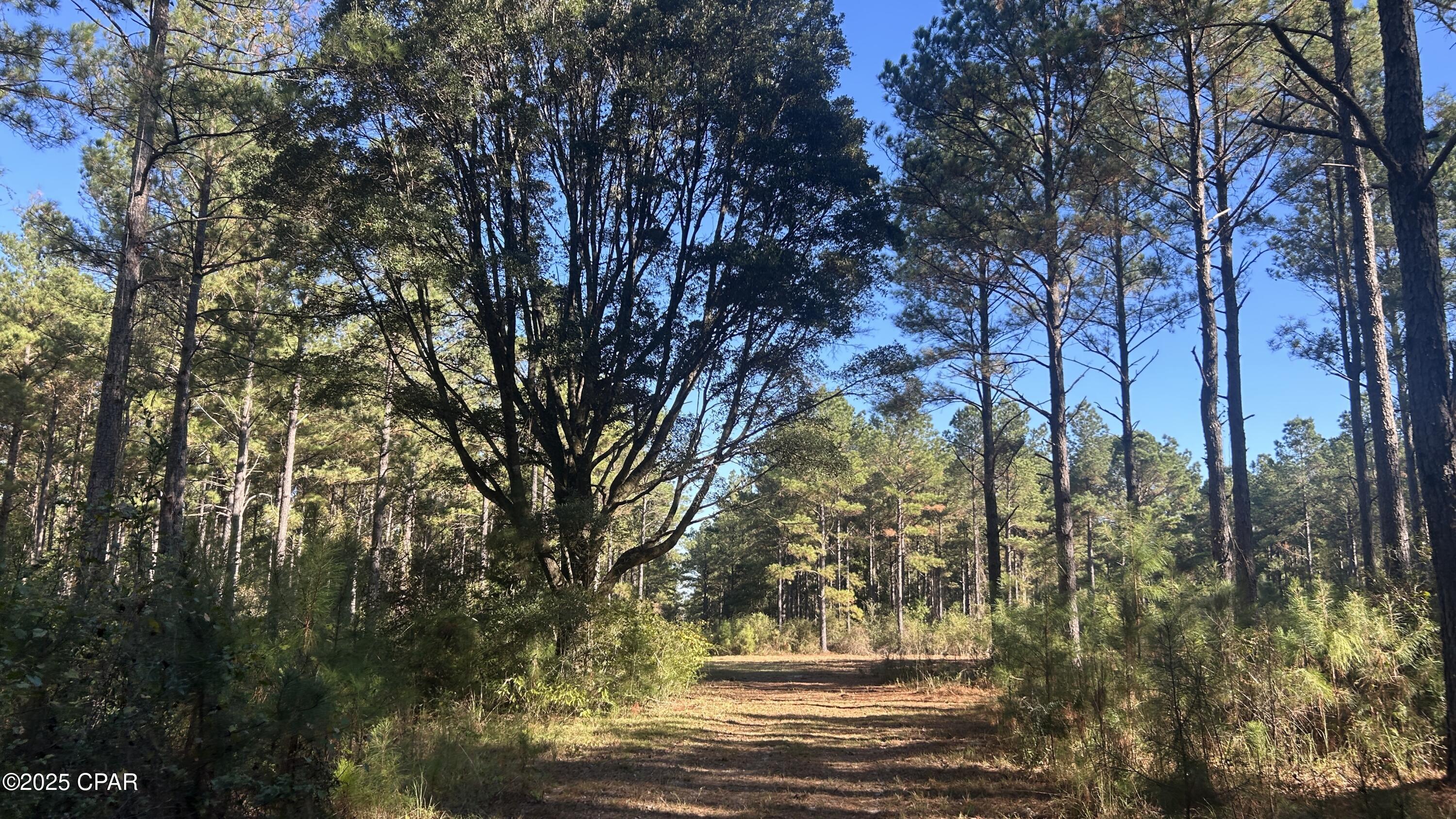 Image 21 For Xxx Co 147 Highway