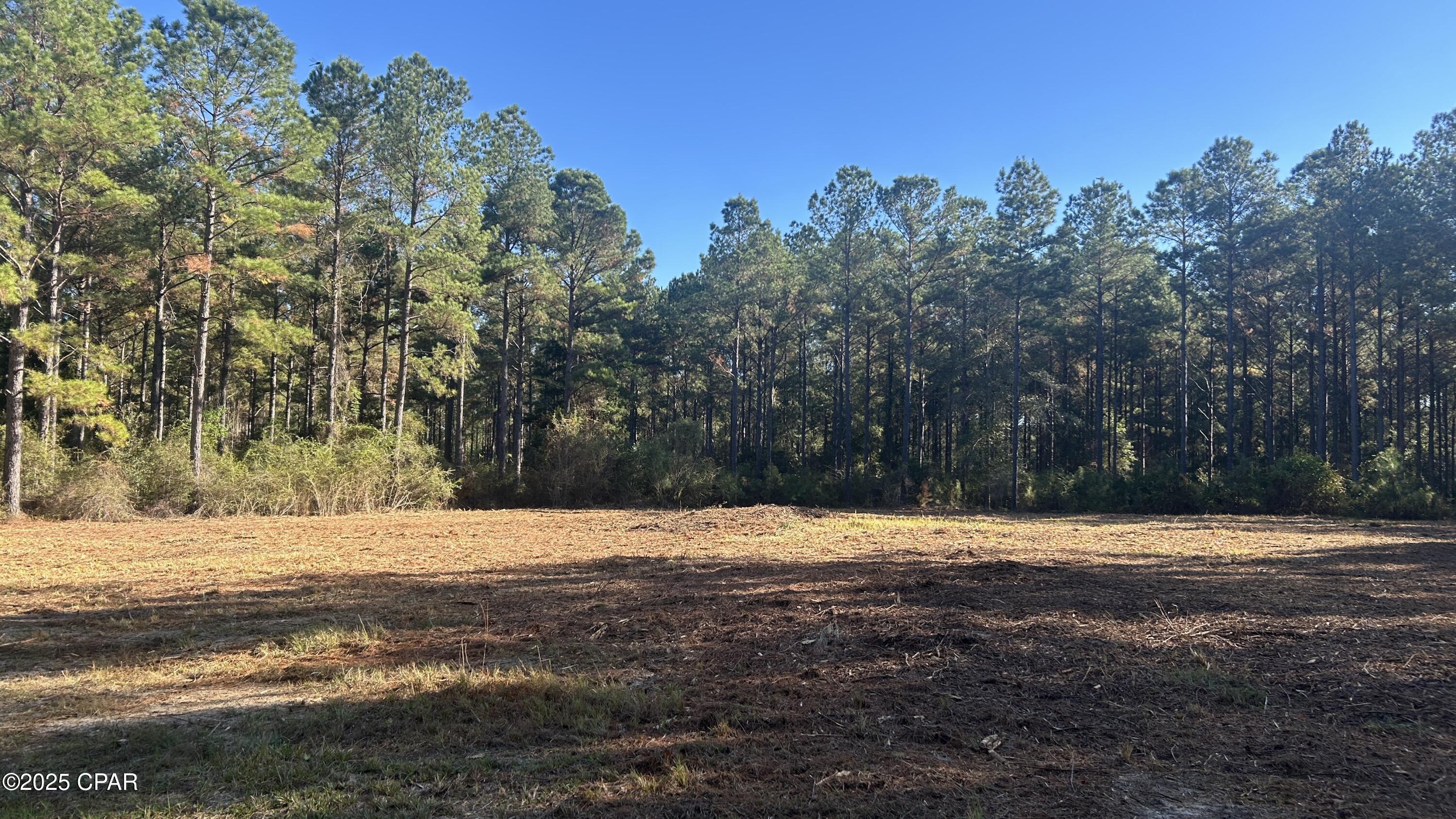 Image 23 For Xxx Co 147 Highway