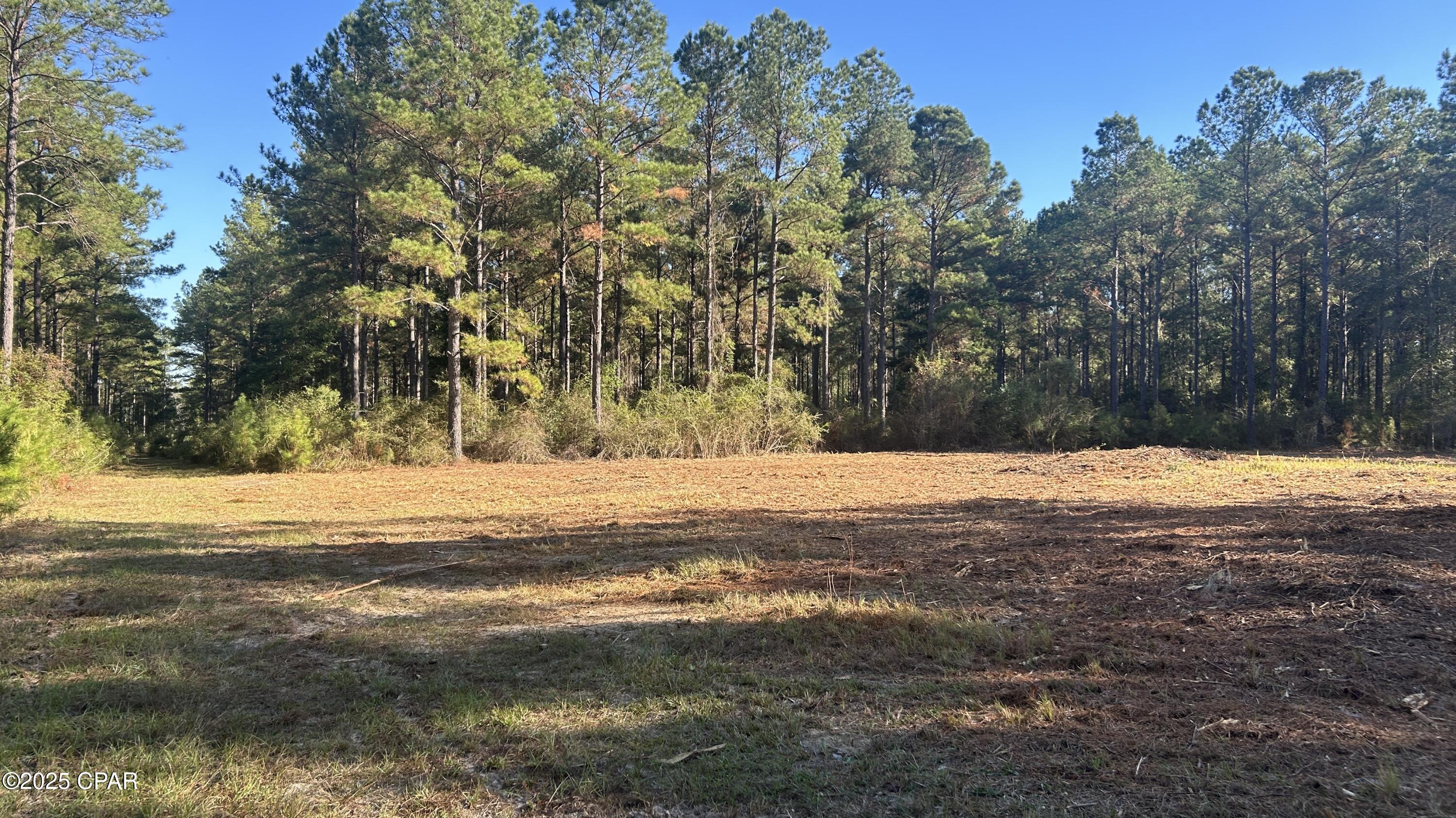 Image 24 For Xxx Co 147 Highway