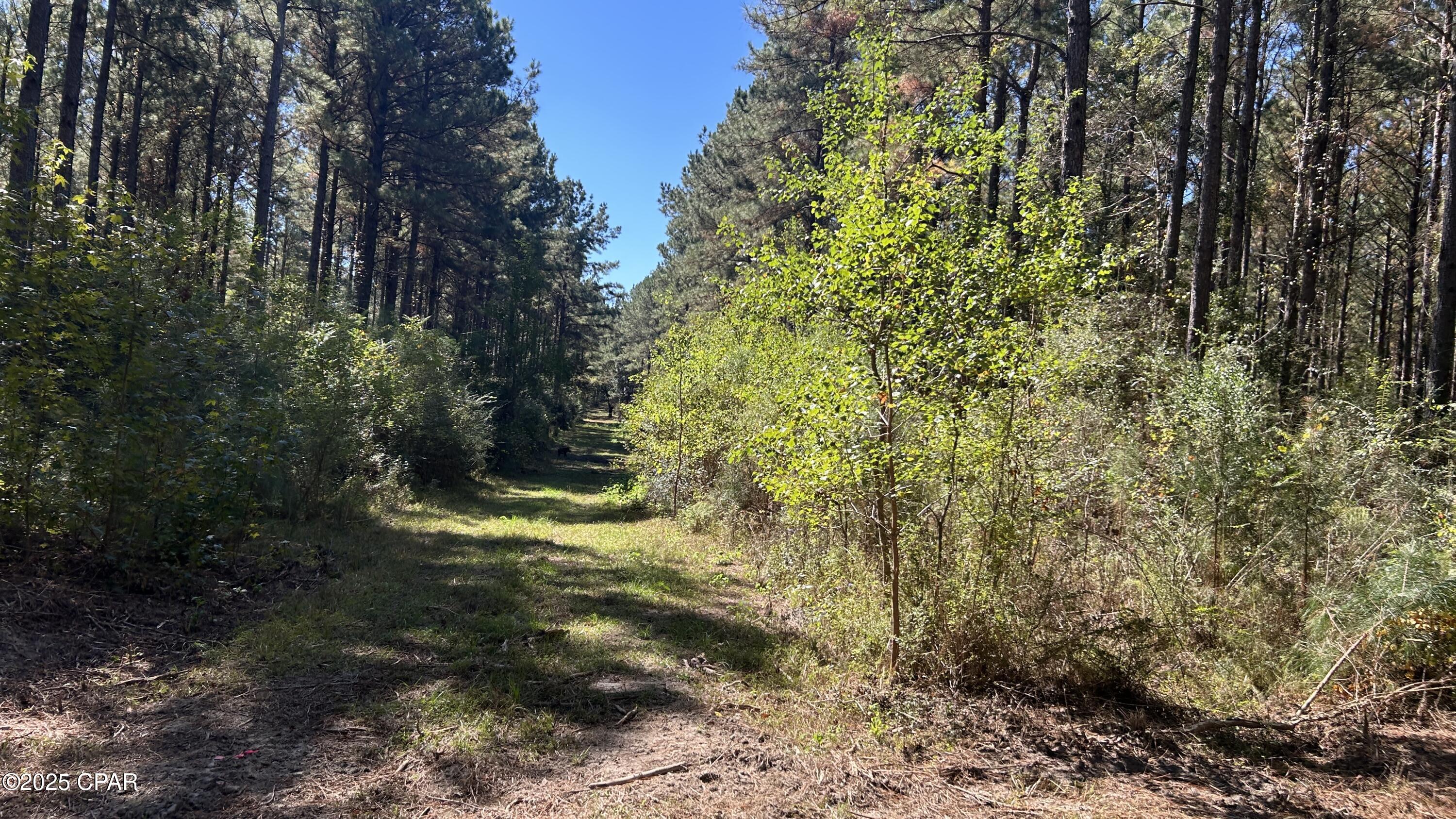 Image 26 For Xxx Co 147 Highway