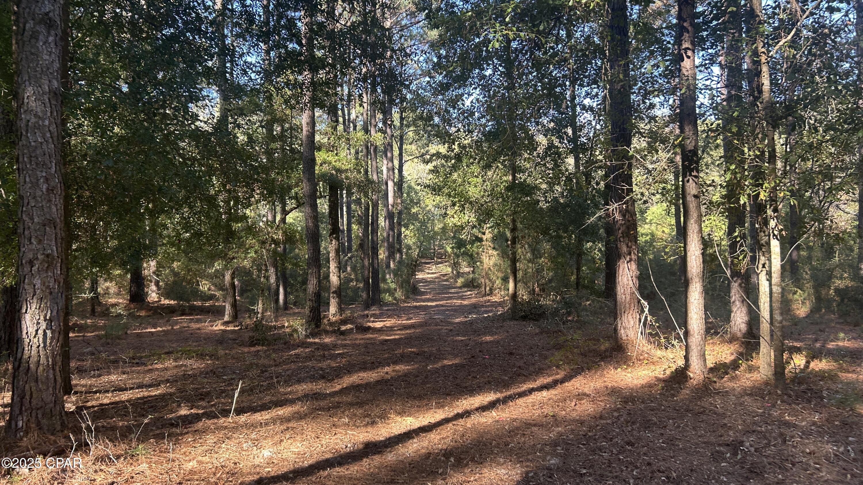 Image 27 For Xxx Co 147 Highway