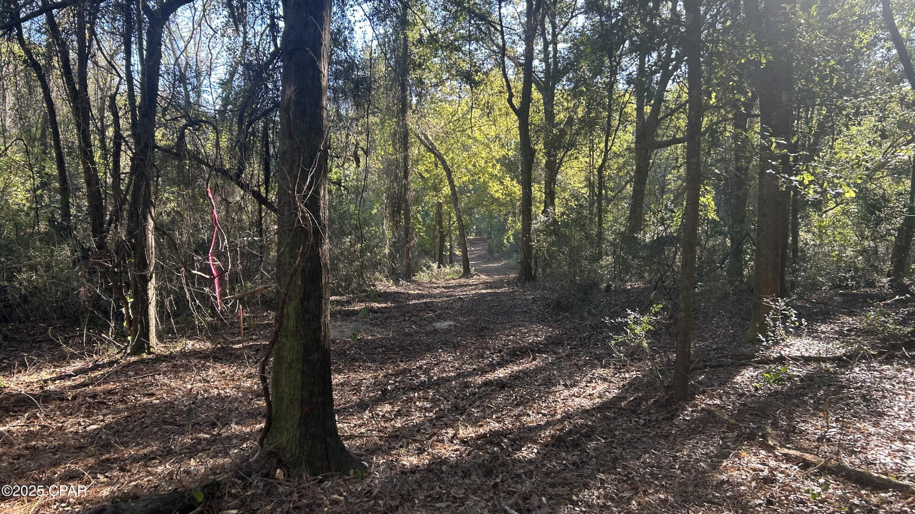 Image 28 For Xxx Co 147 Highway