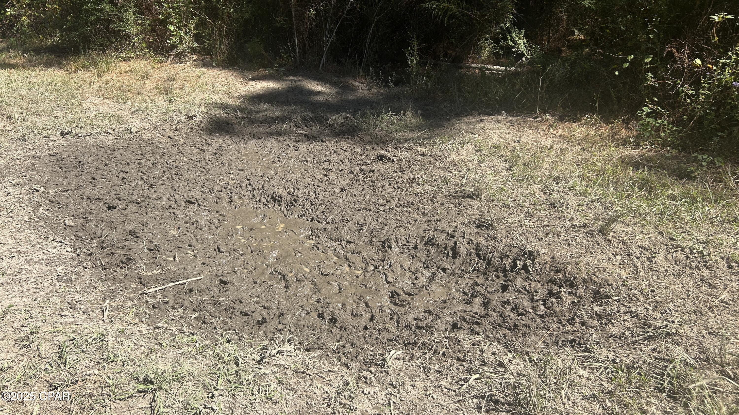 Image 30 For Xxx Co 147 Highway