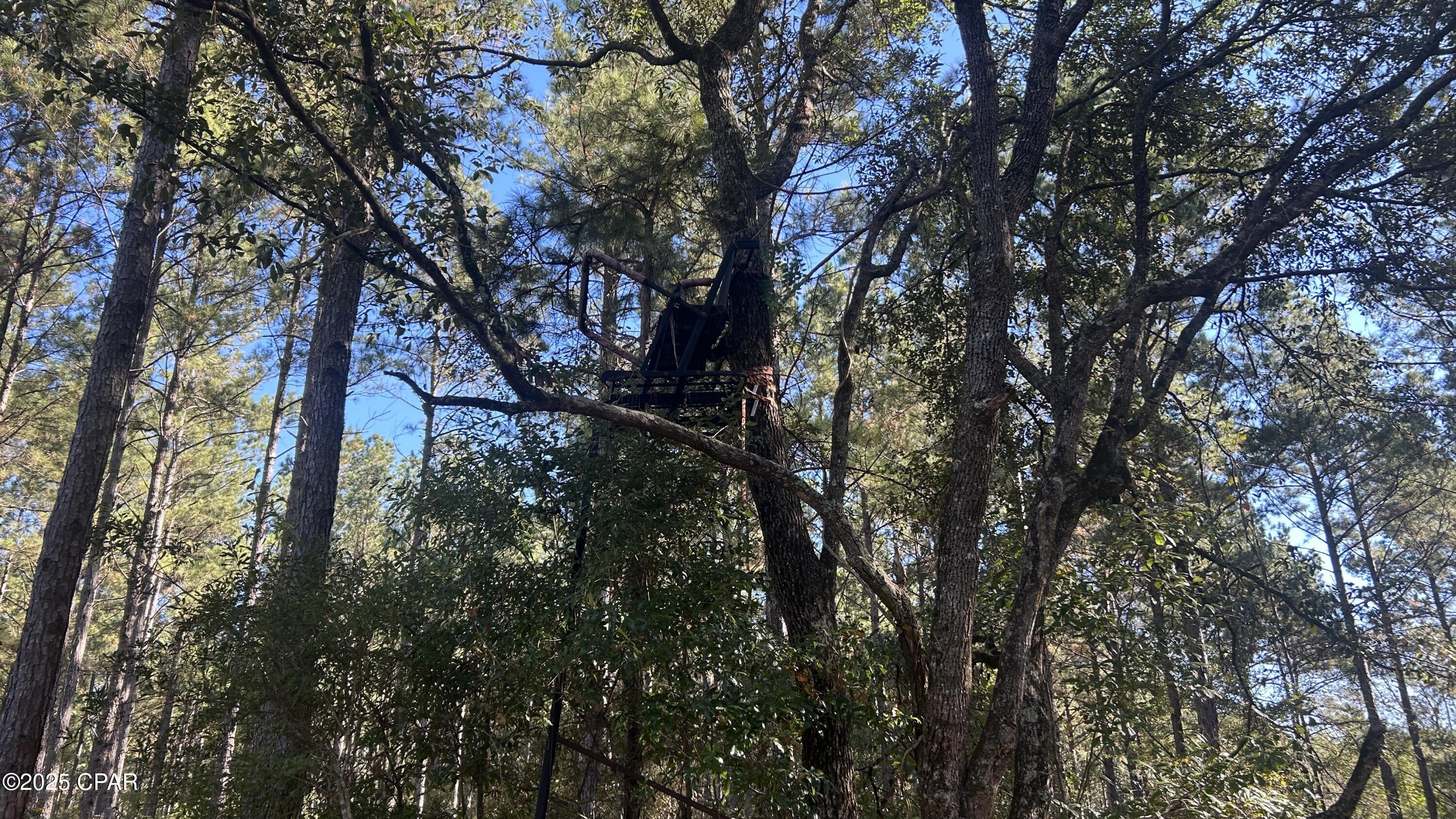 Image 32 For Xxx Co 147 Highway