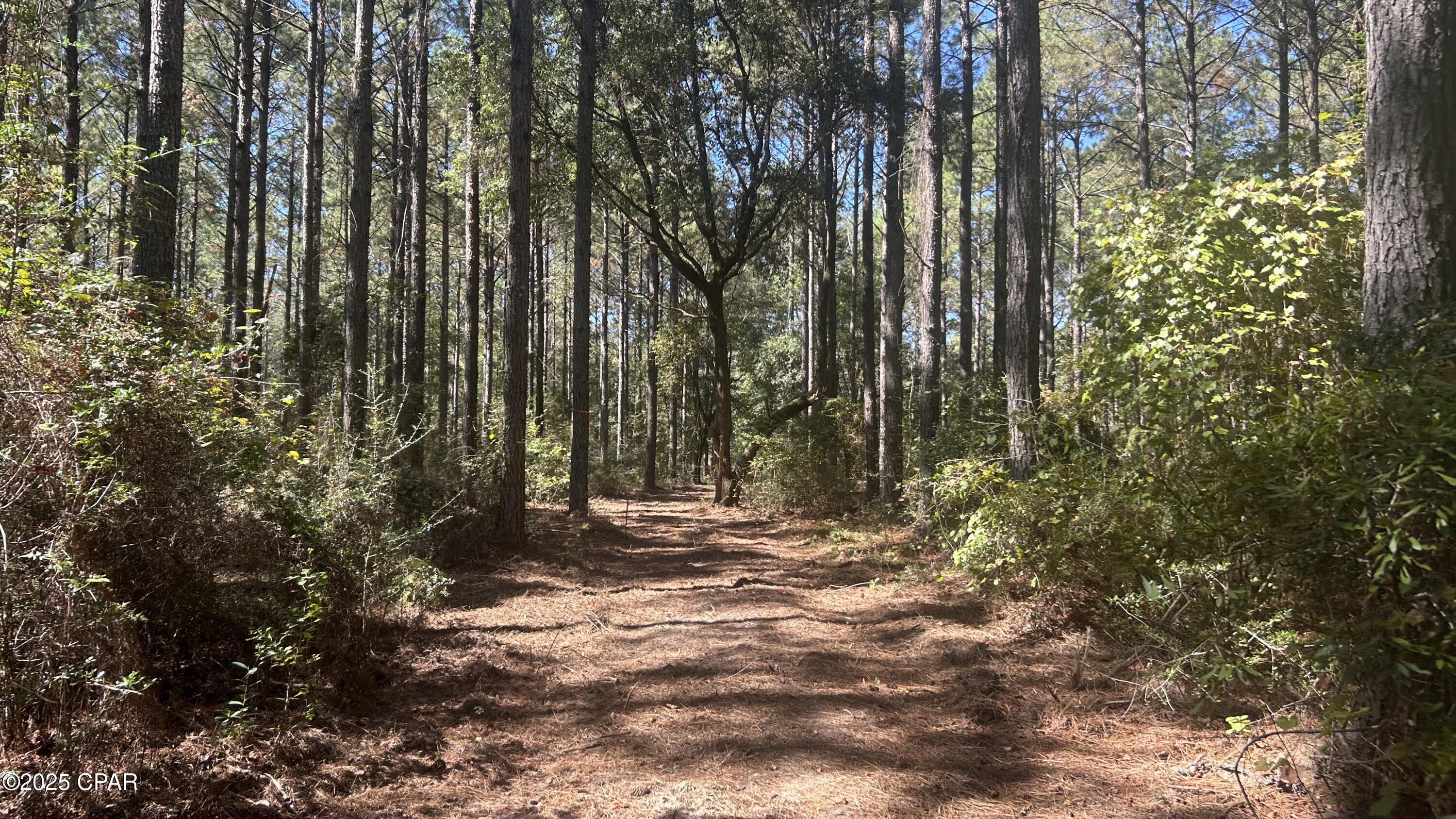 Image 33 For Xxx Co 147 Highway