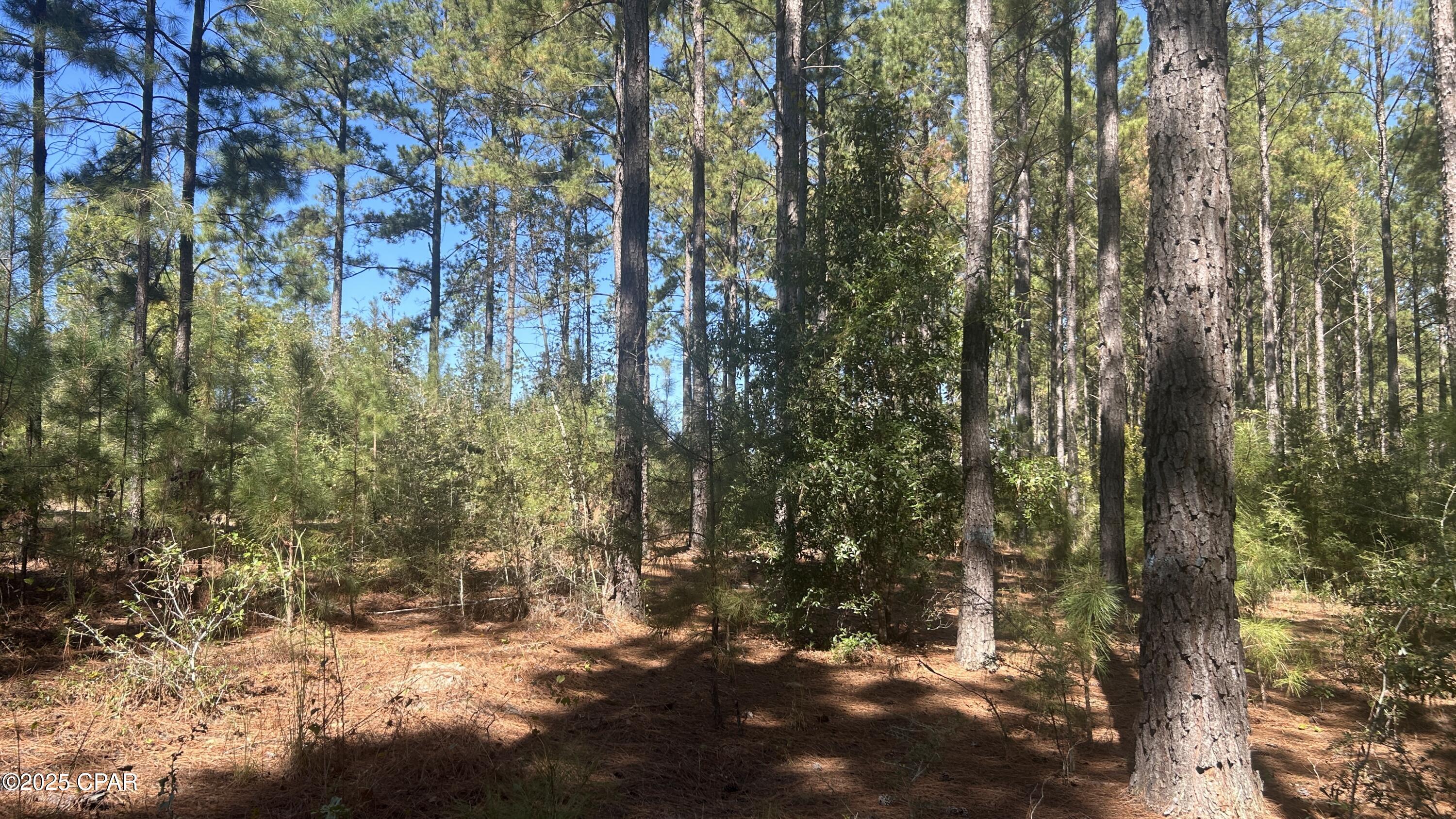 Image 34 For Xxx Co 147 Highway