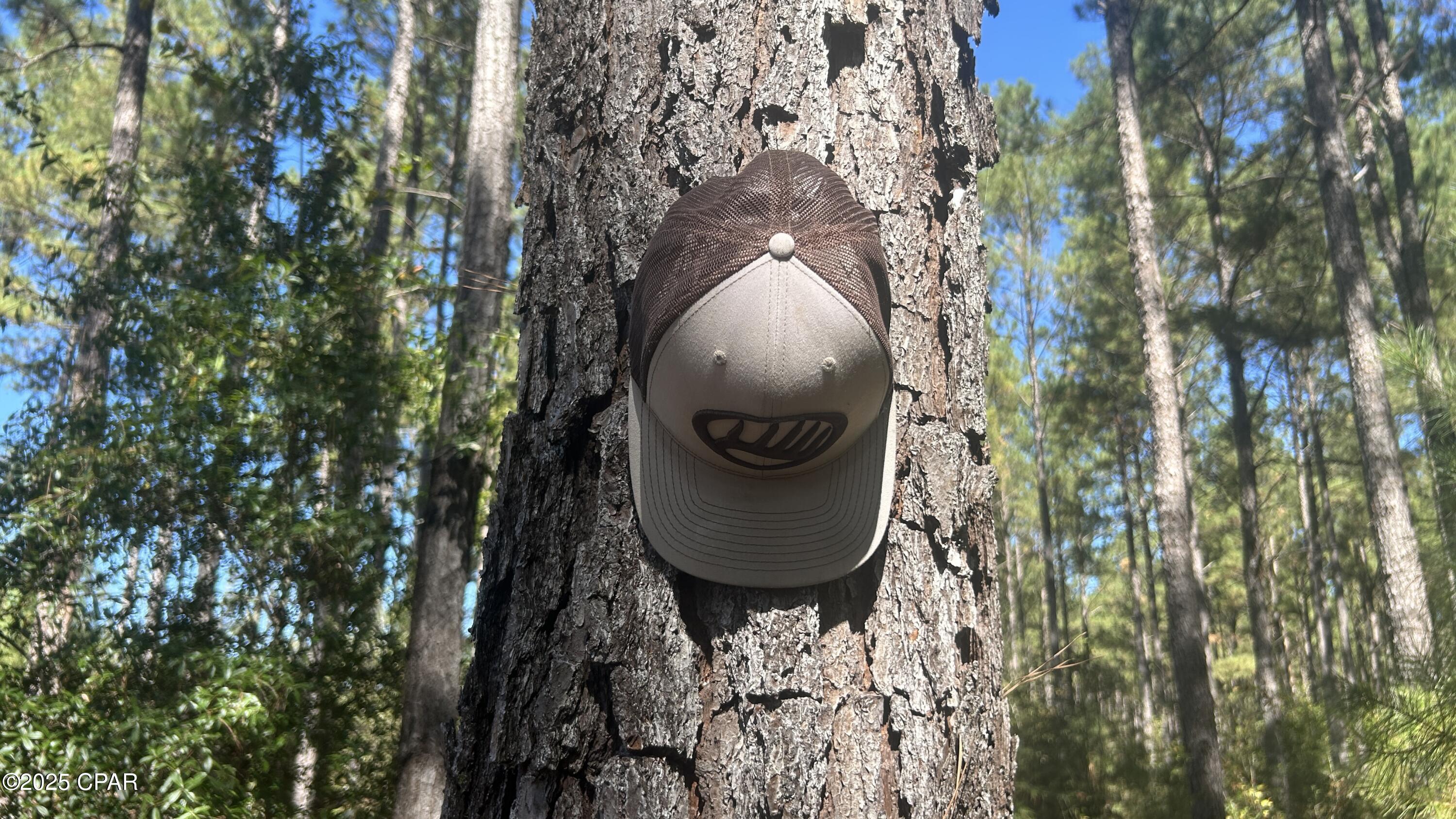 Image 35 For Xxx Co 147 Highway