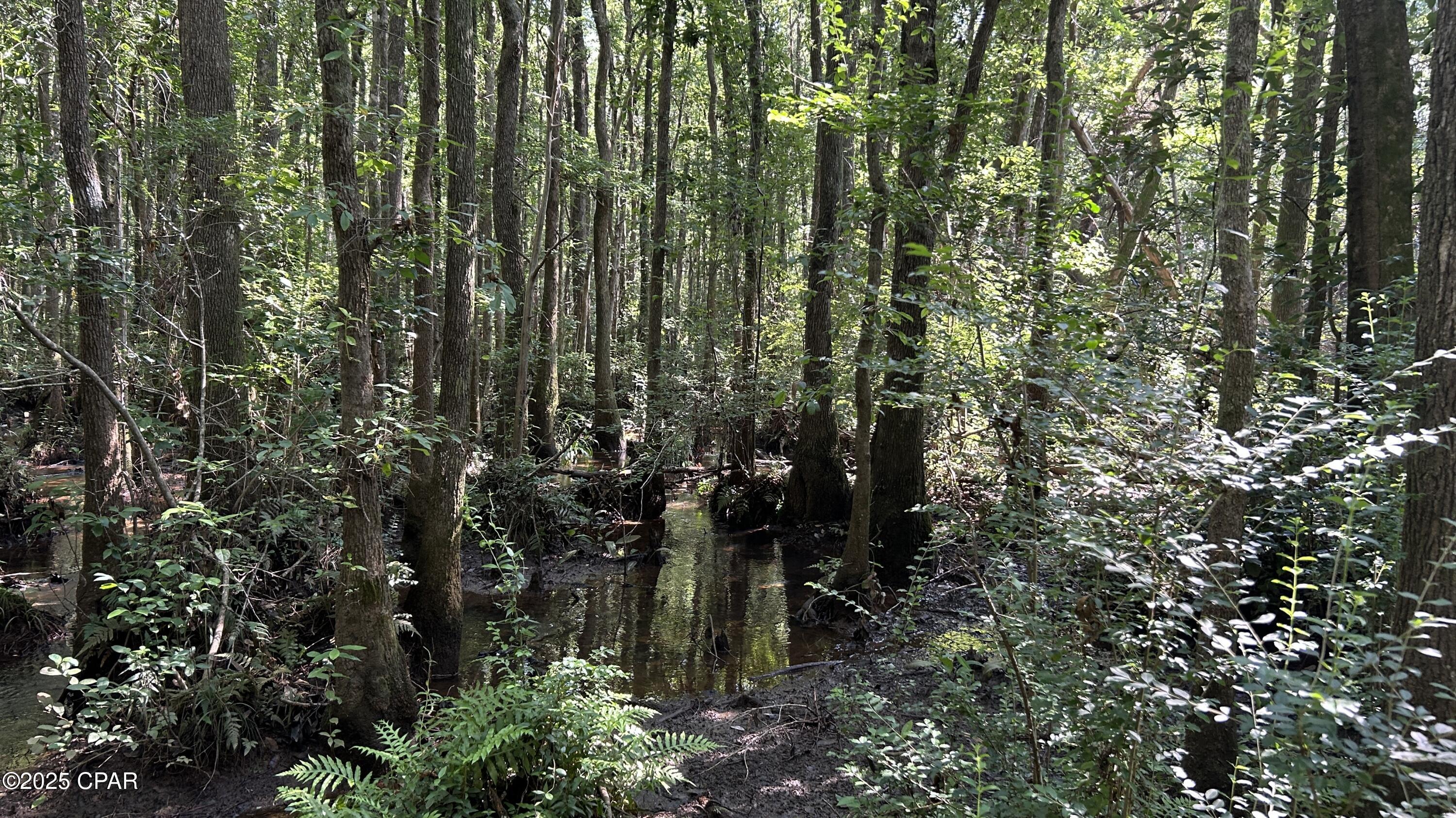 Image 36 For Xxx Co 147 Highway