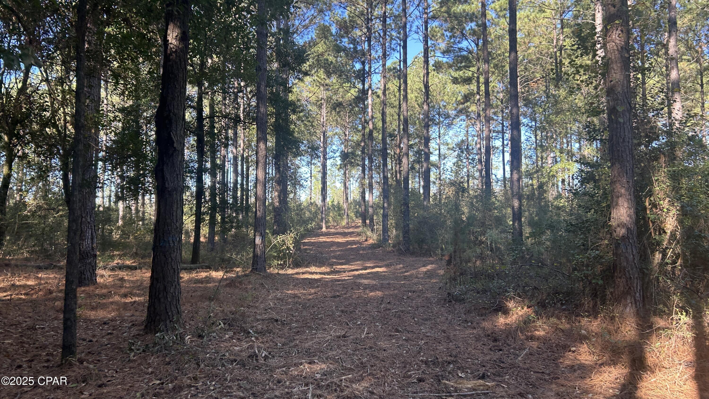 Image 37 For Xxx Co 147 Highway