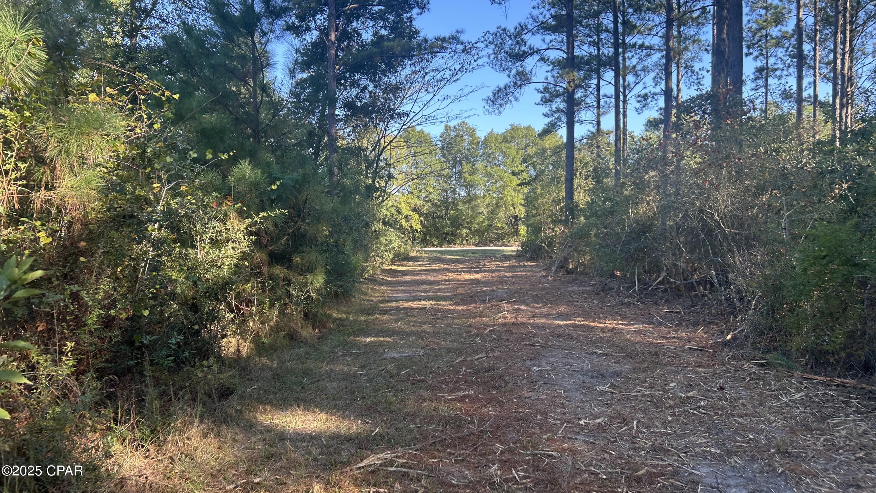 Image 38 For Xxx Co 147 Highway