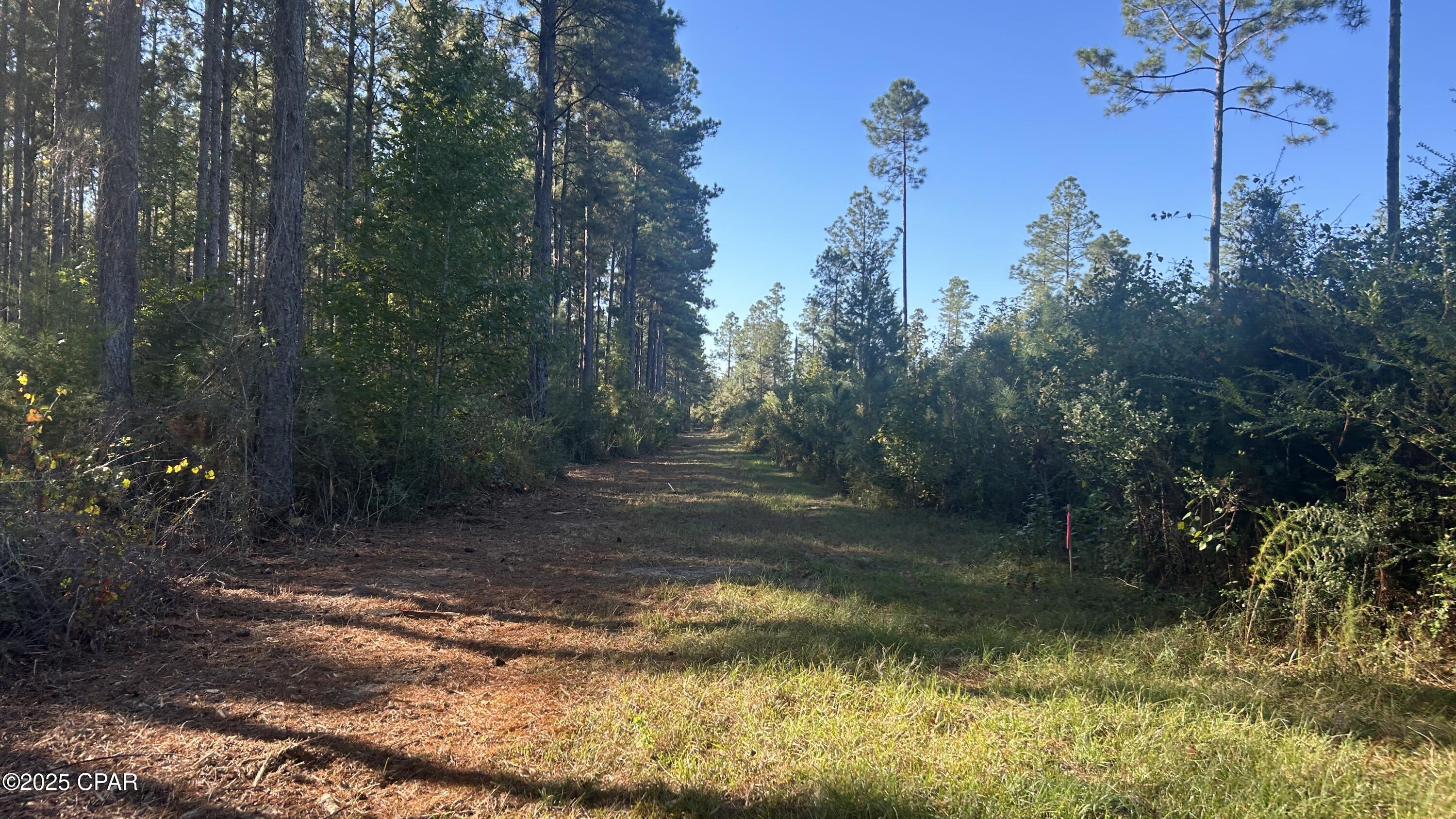 Image 4 For Xxx Co 147 Highway