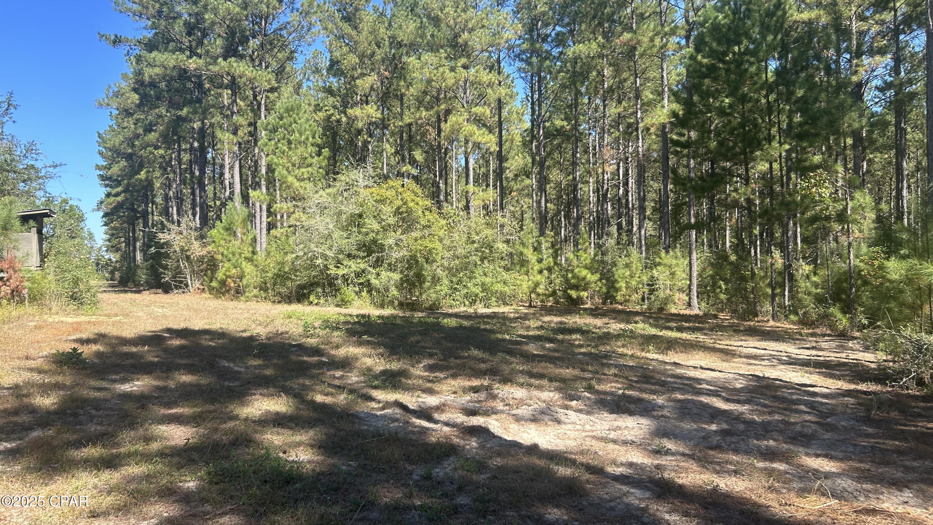 Image 5 For Xxx Co 147 Highway