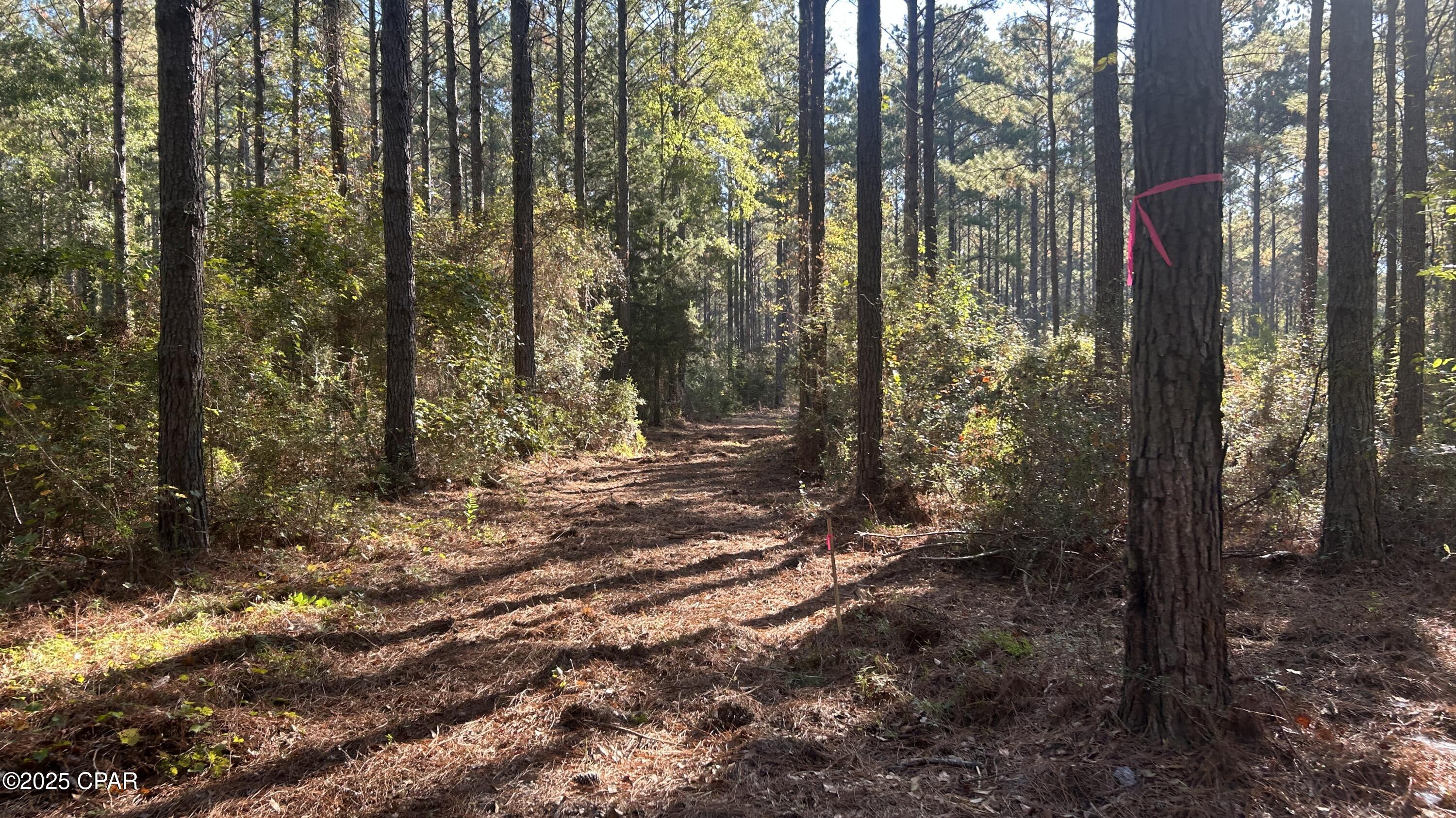 Image 6 For Xxx Co 147 Highway