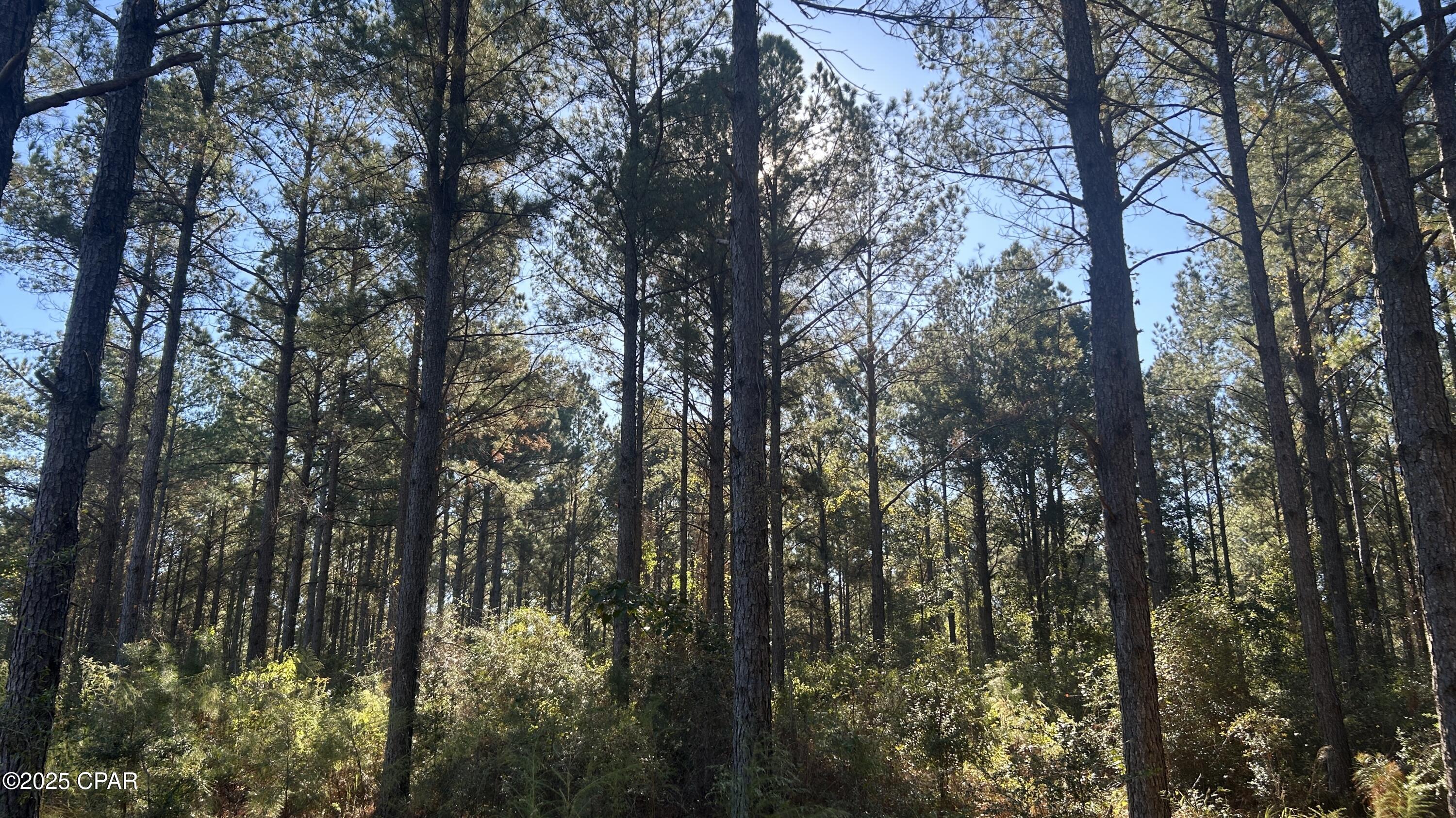 Image 7 For Xxx Co 147 Highway