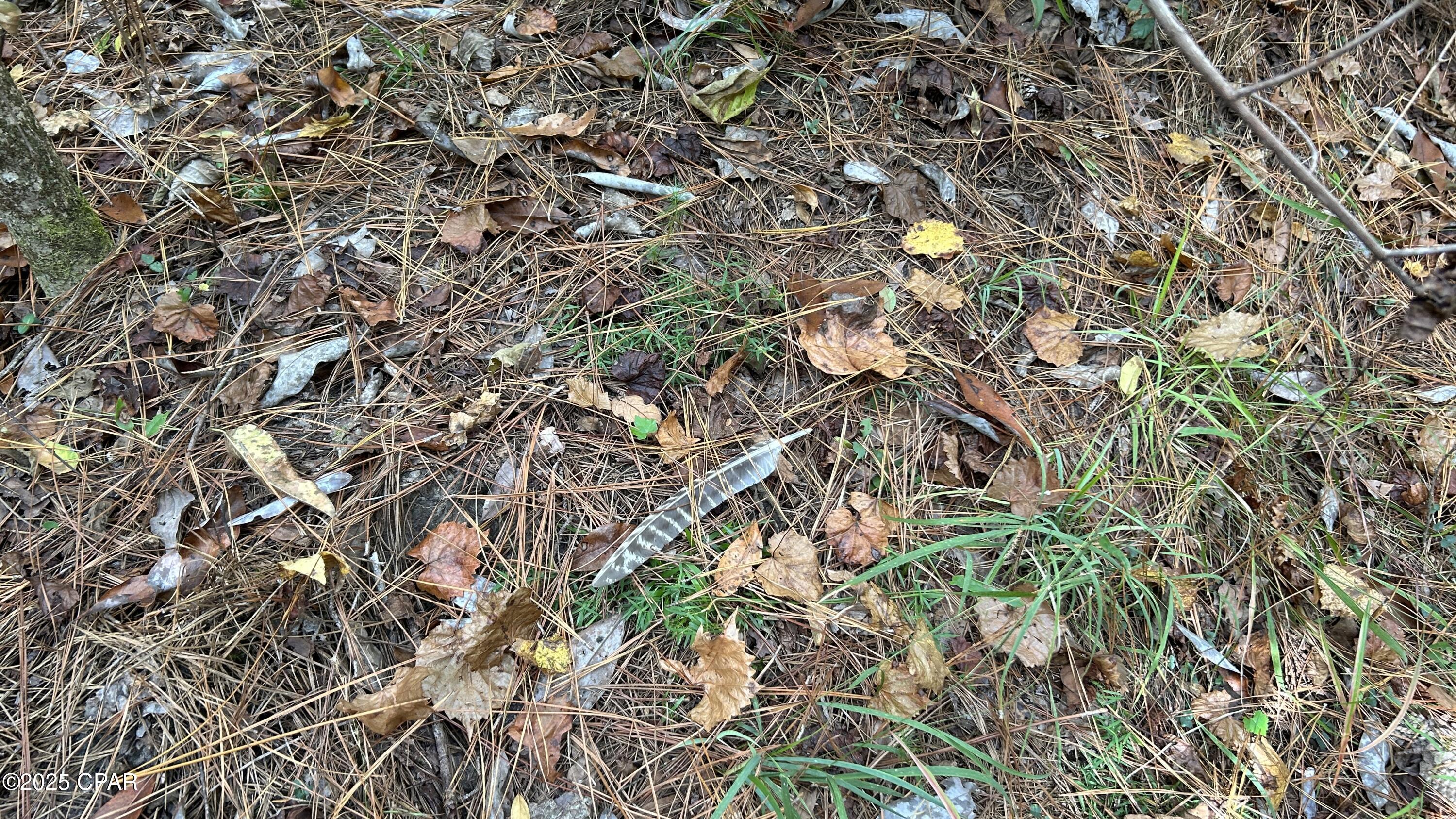 Image 9 For Xxx Co 147 Highway