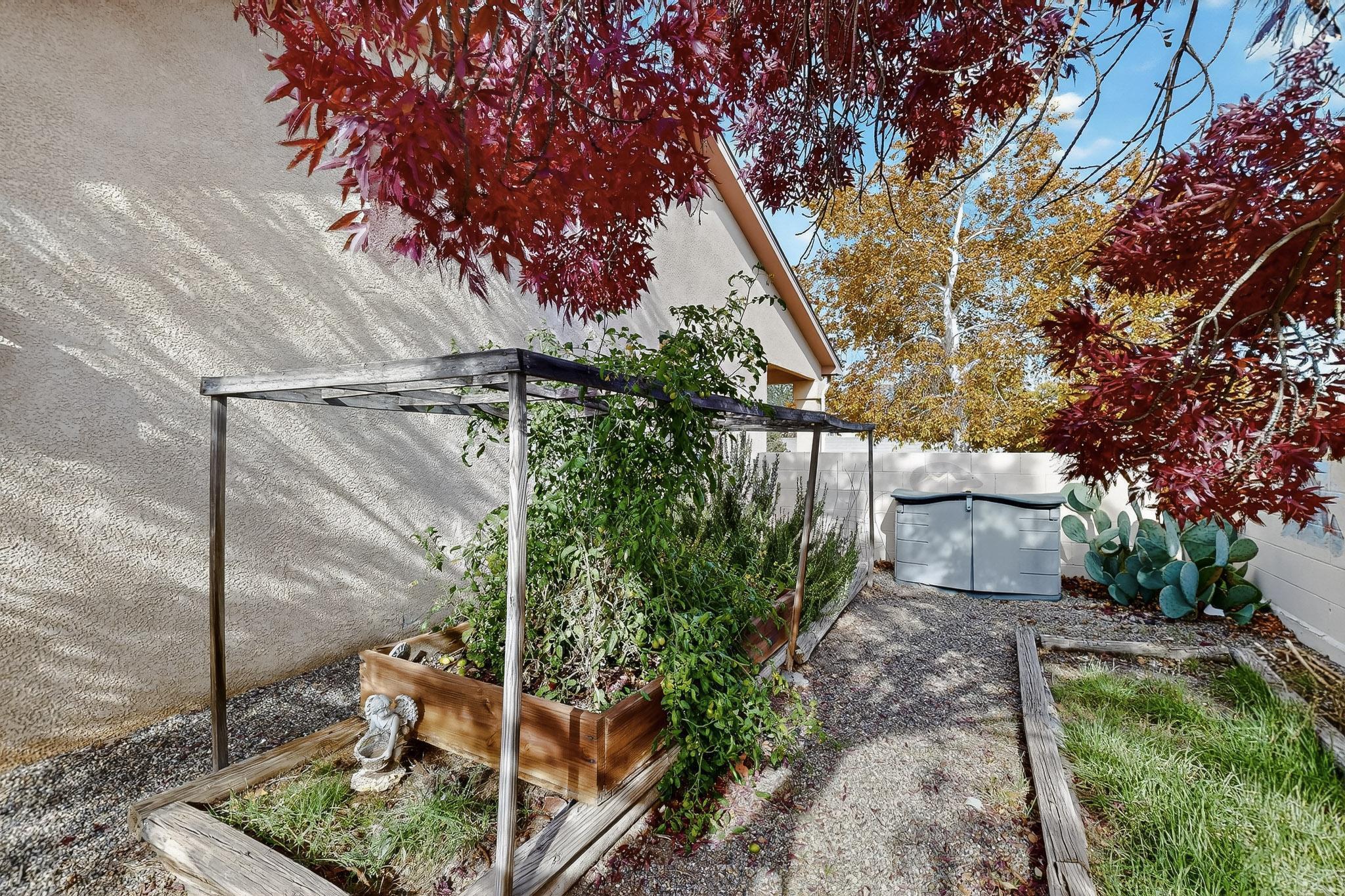 7072 Glen Hills Drive NE Backyard