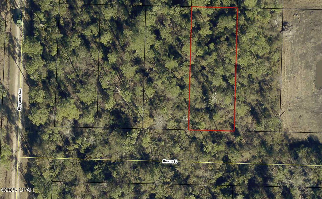 Image 2 For 11717 Krocus Street