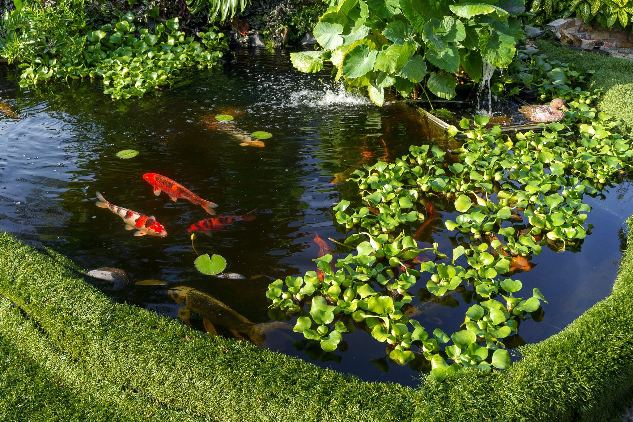 Homes for sale in Davie, FL | 5973 Sw 54Th Ct, Davie, FL 33314 | MLS# F10534655