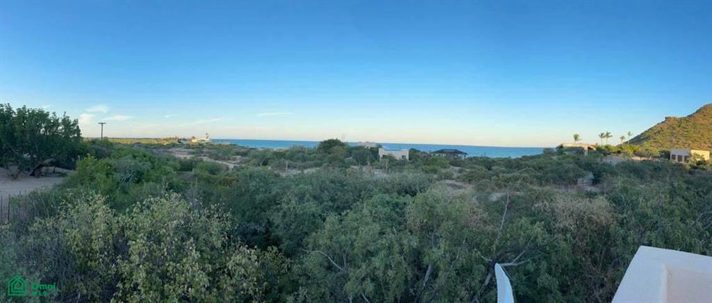 Camino Cabo Este Vista Ballena D, Cabo Pulmo, Los Cabos, Baja California Sur