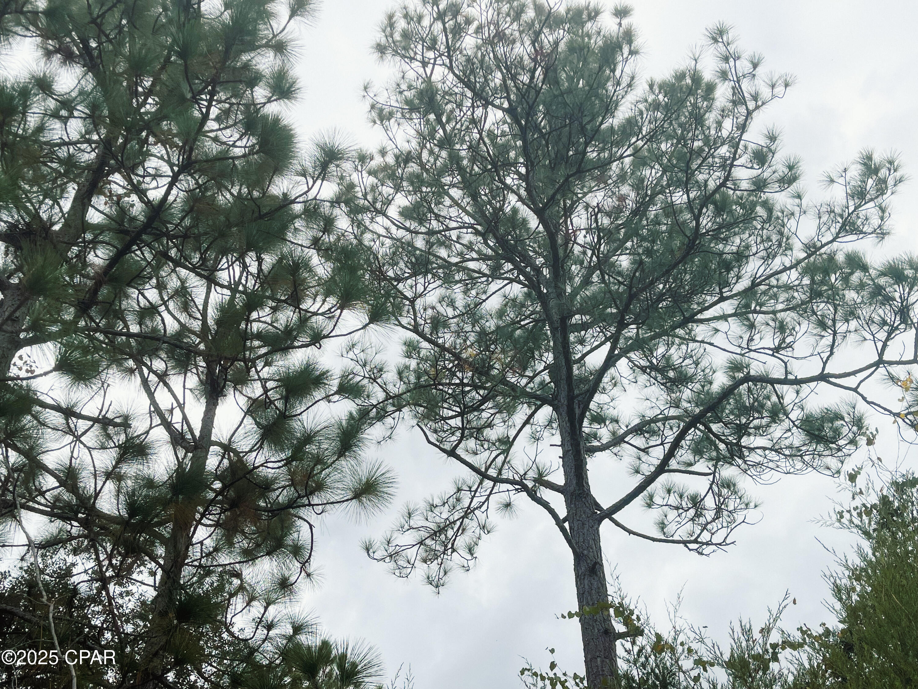 Image 10 For 0000 Highview Circle