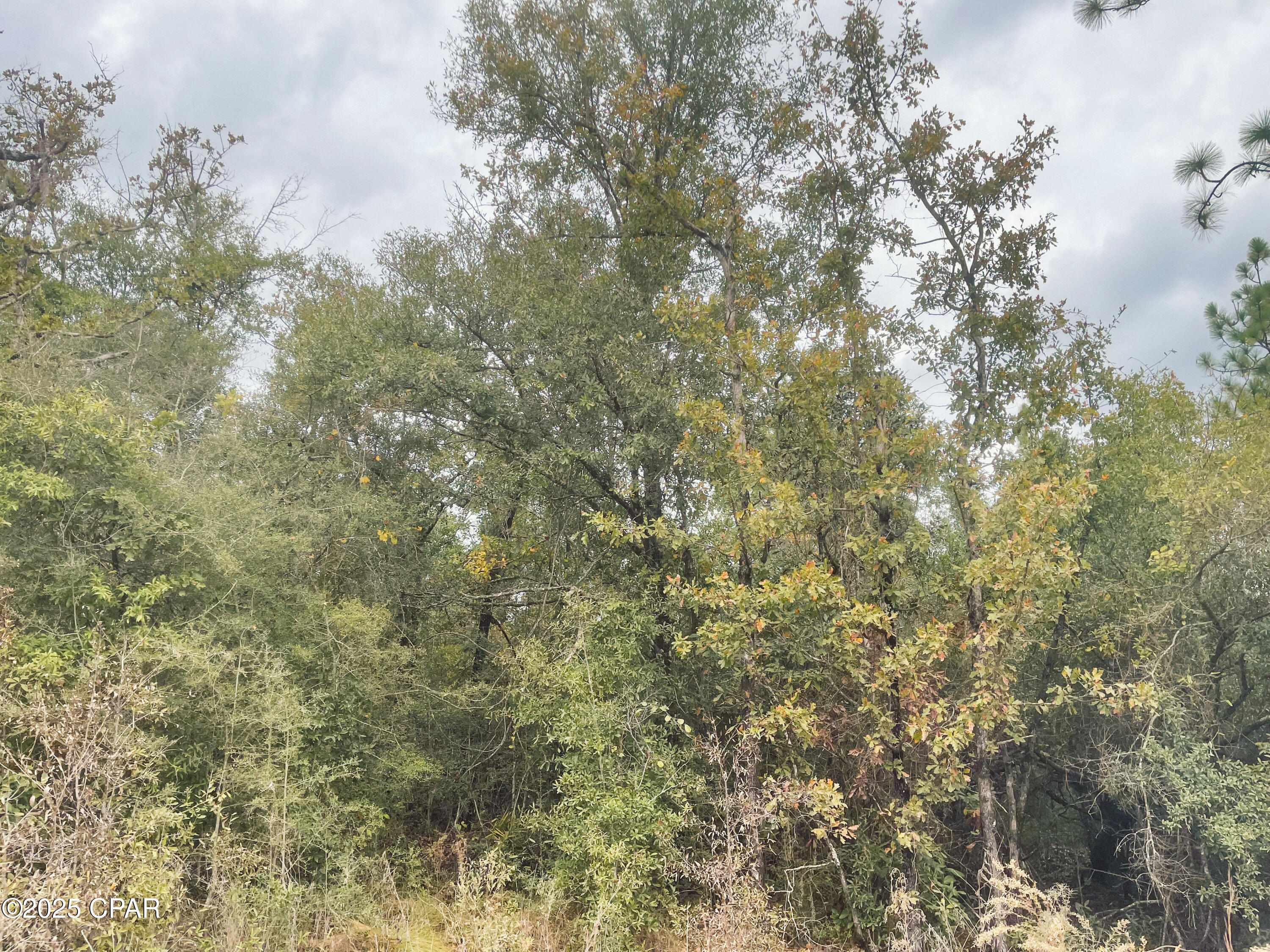 Image 7 For 0000 Highview Circle