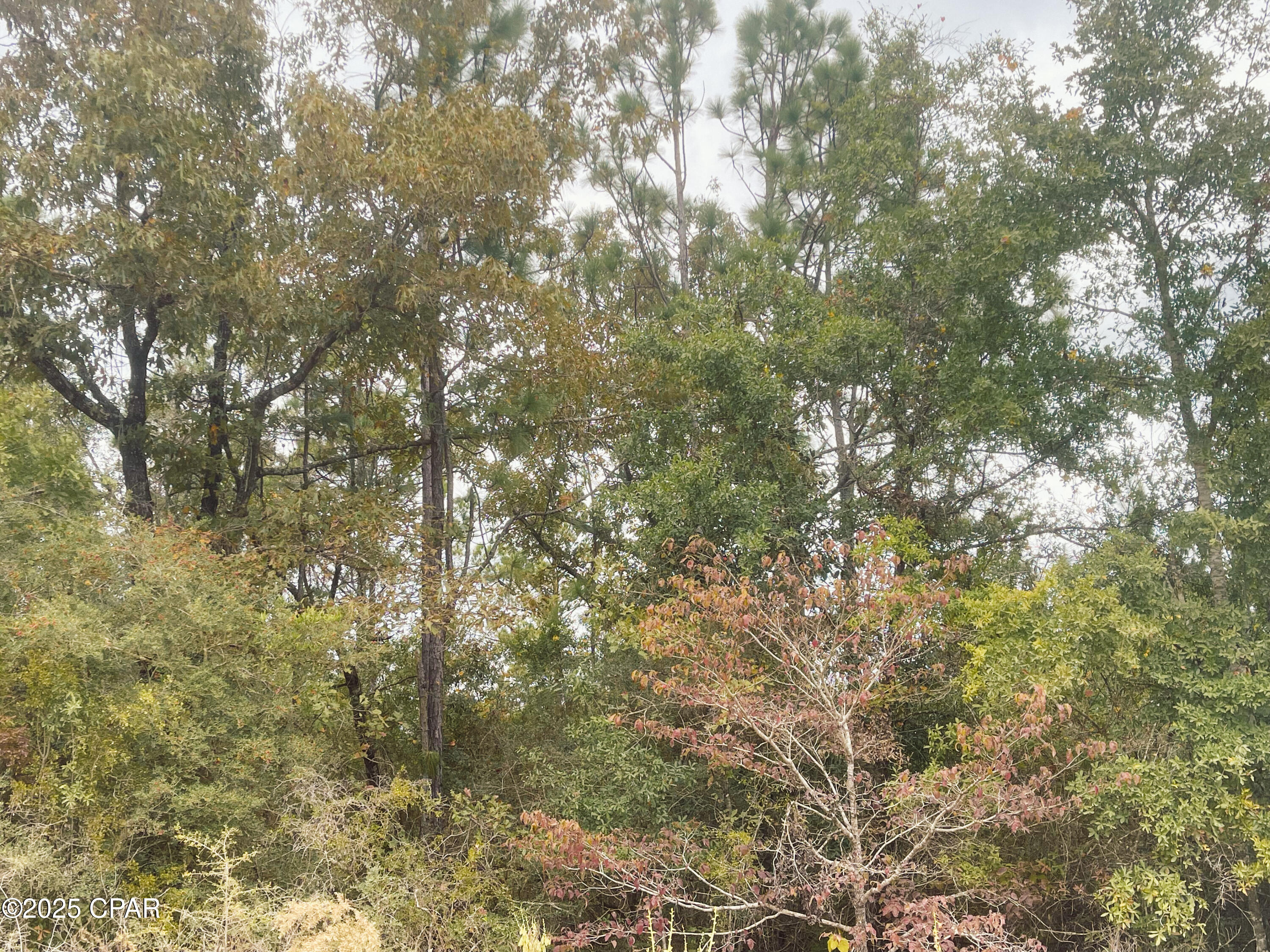 Image 9 For 0000 Highview Circle