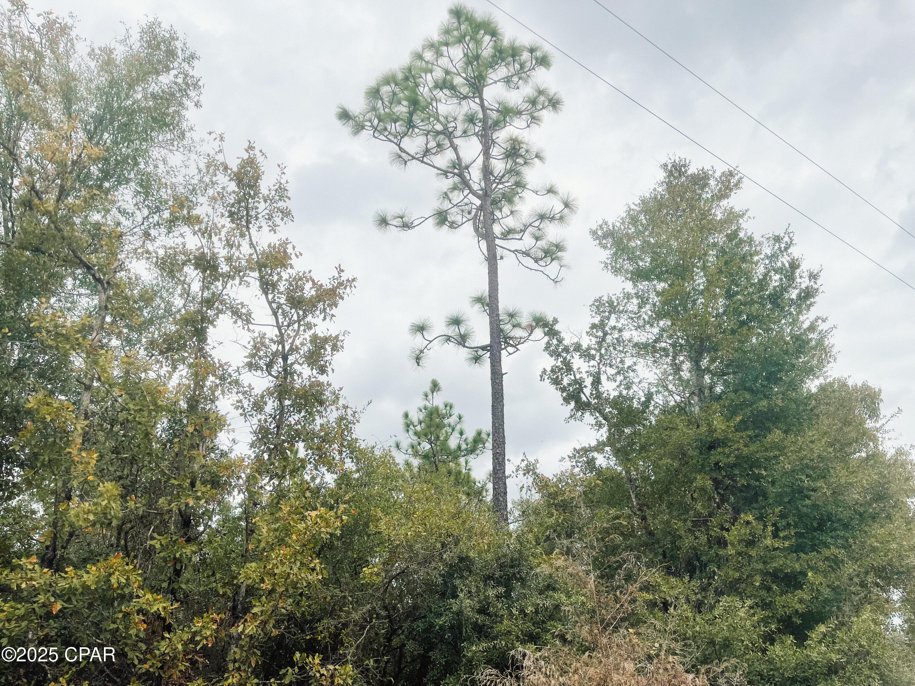 Image 9 For 0000 Highview Circle