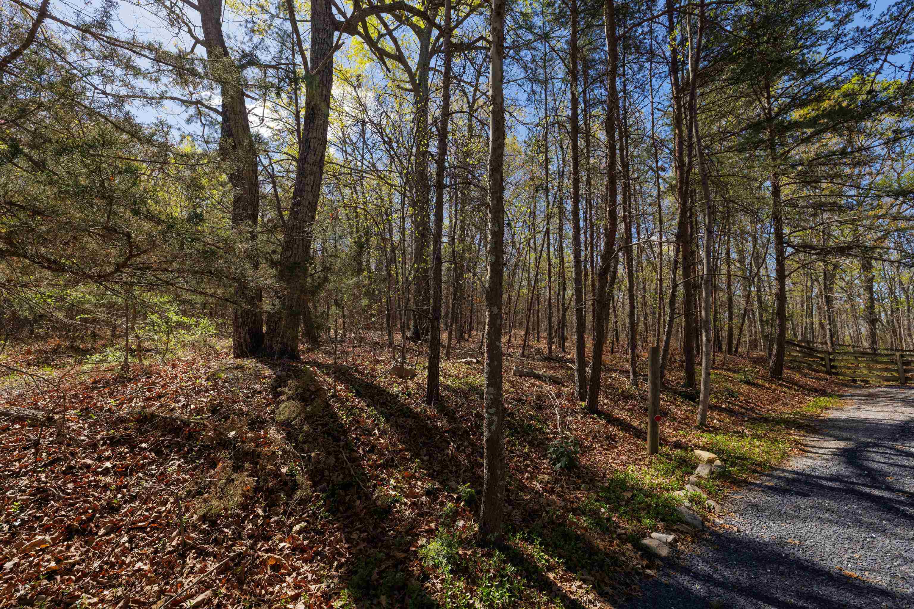 TBD SHOTGUN SPRING RD exterior