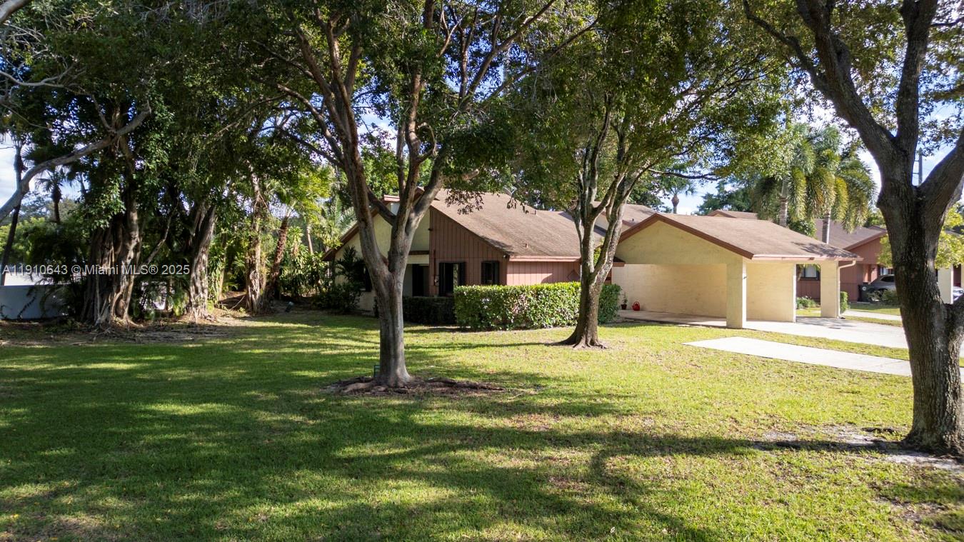 Hammocks At Coconut Creek