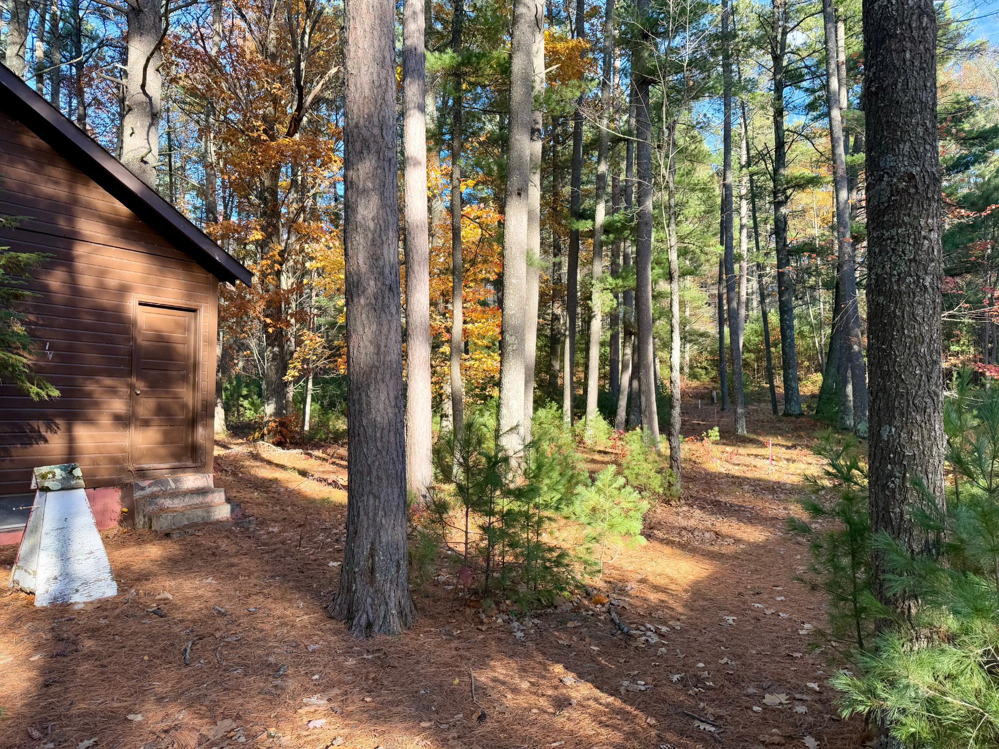 Squirrel Lake Property 7823 Jansen Rd S Photo 10