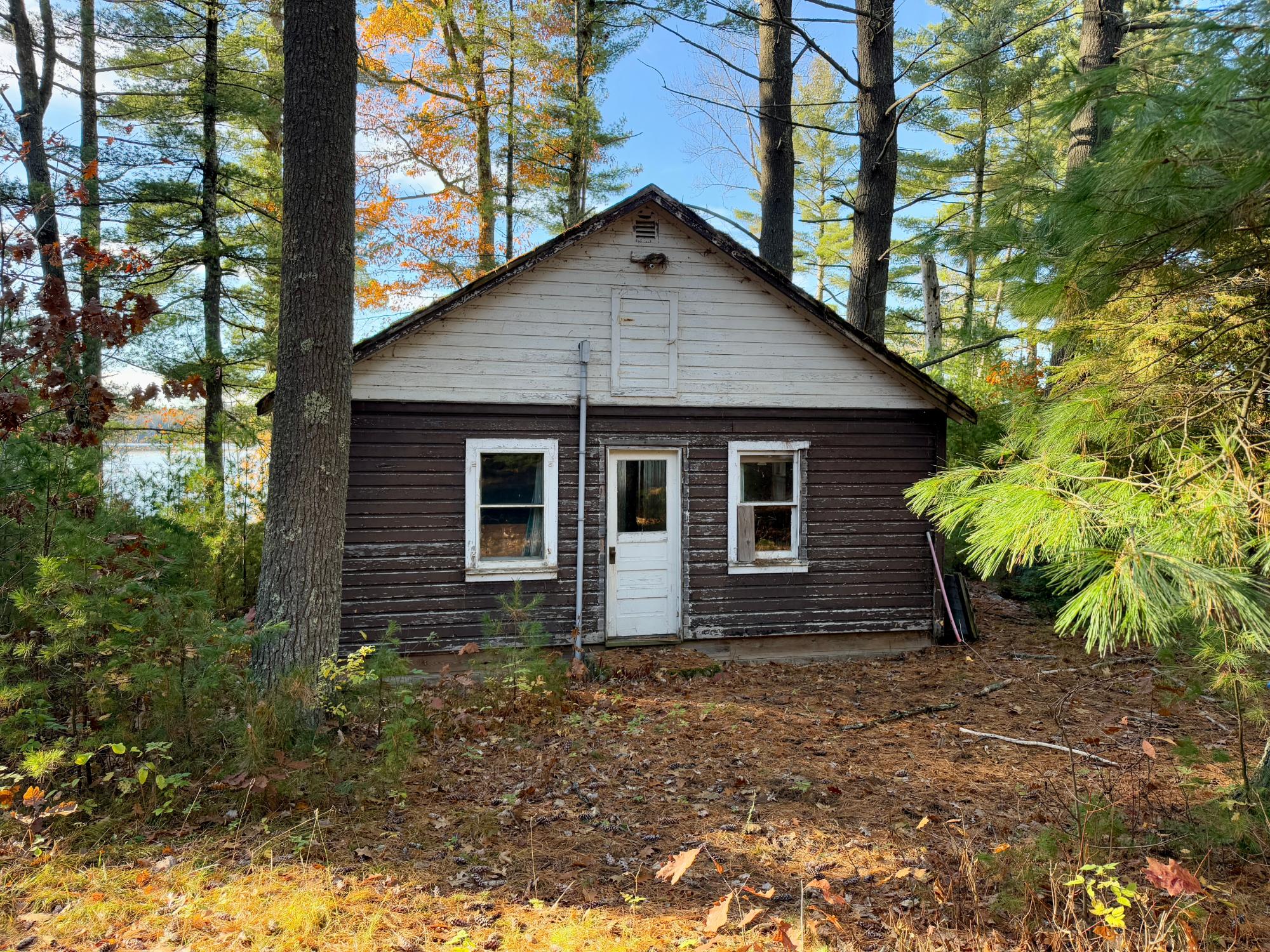 Squirrel Lake Property 7823 Jansen Rd S Photo 4