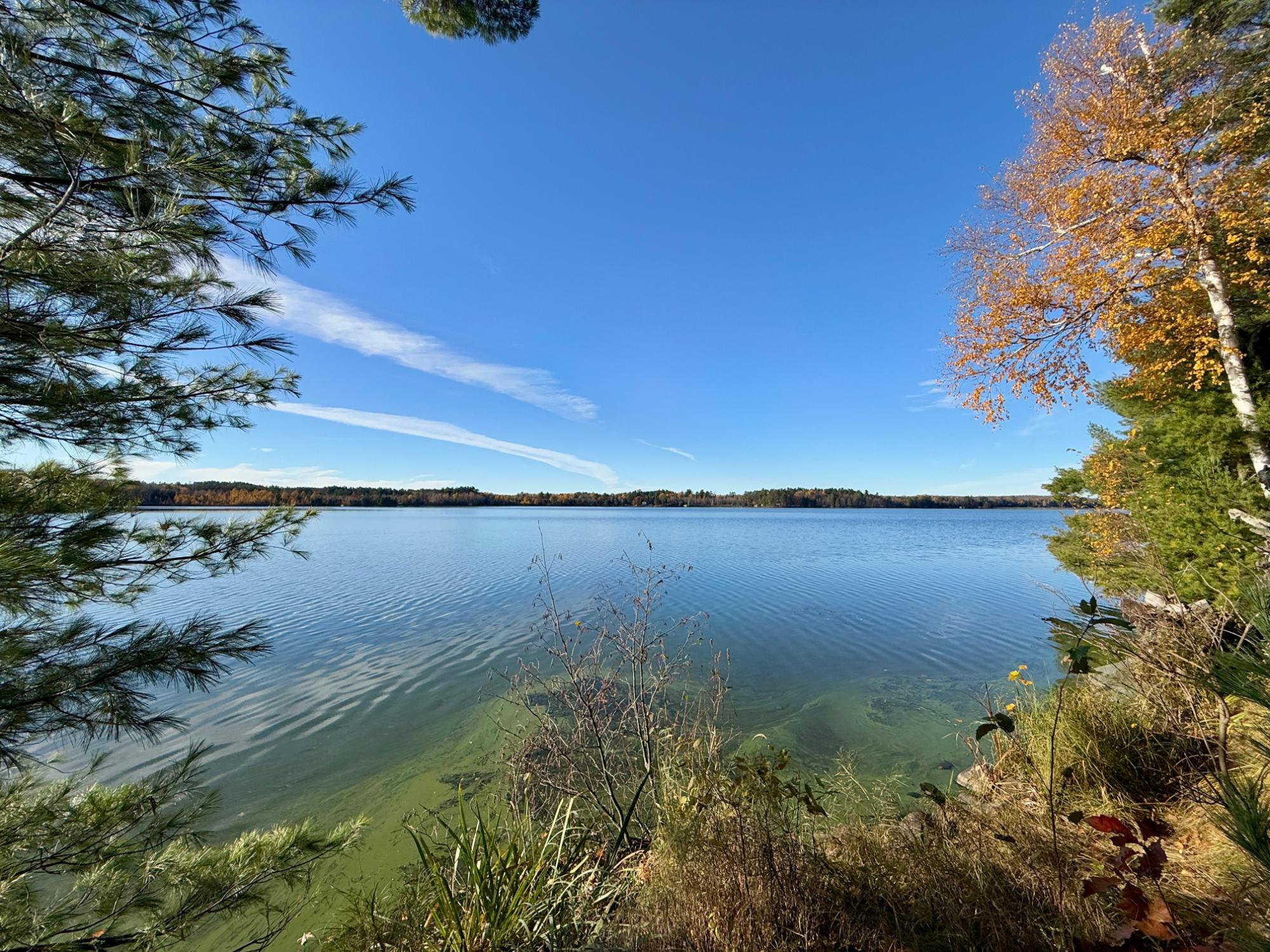 Squirrel Lake Property 7823 Jansen Rd S Photo 5