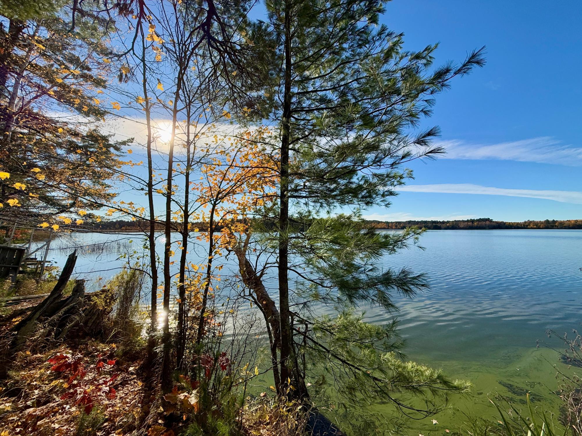 Squirrel Lake Property 7823 Jansen Rd S Photo 6