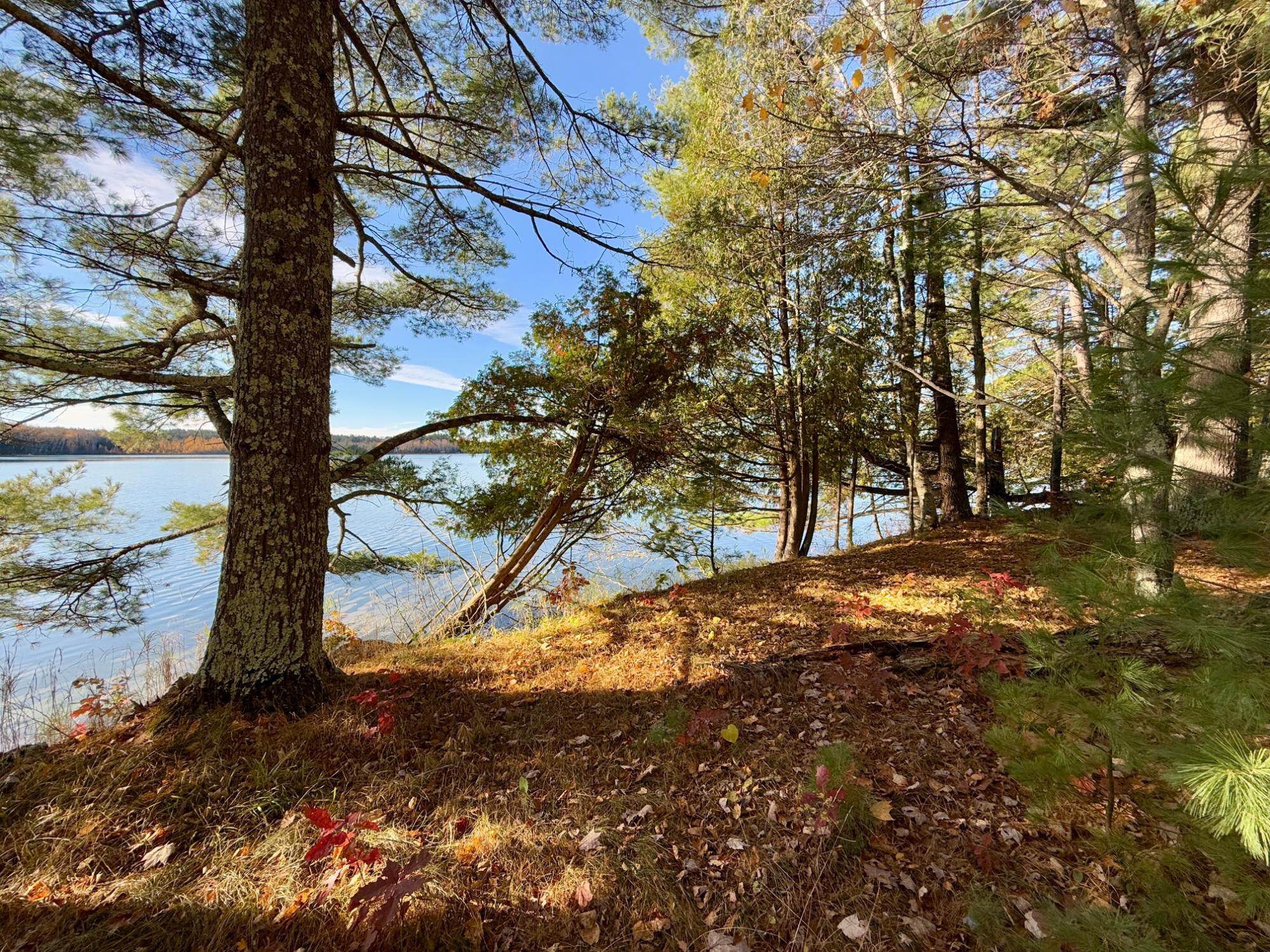 Squirrel Lake Property 7823 Jansen Rd S Photo 7