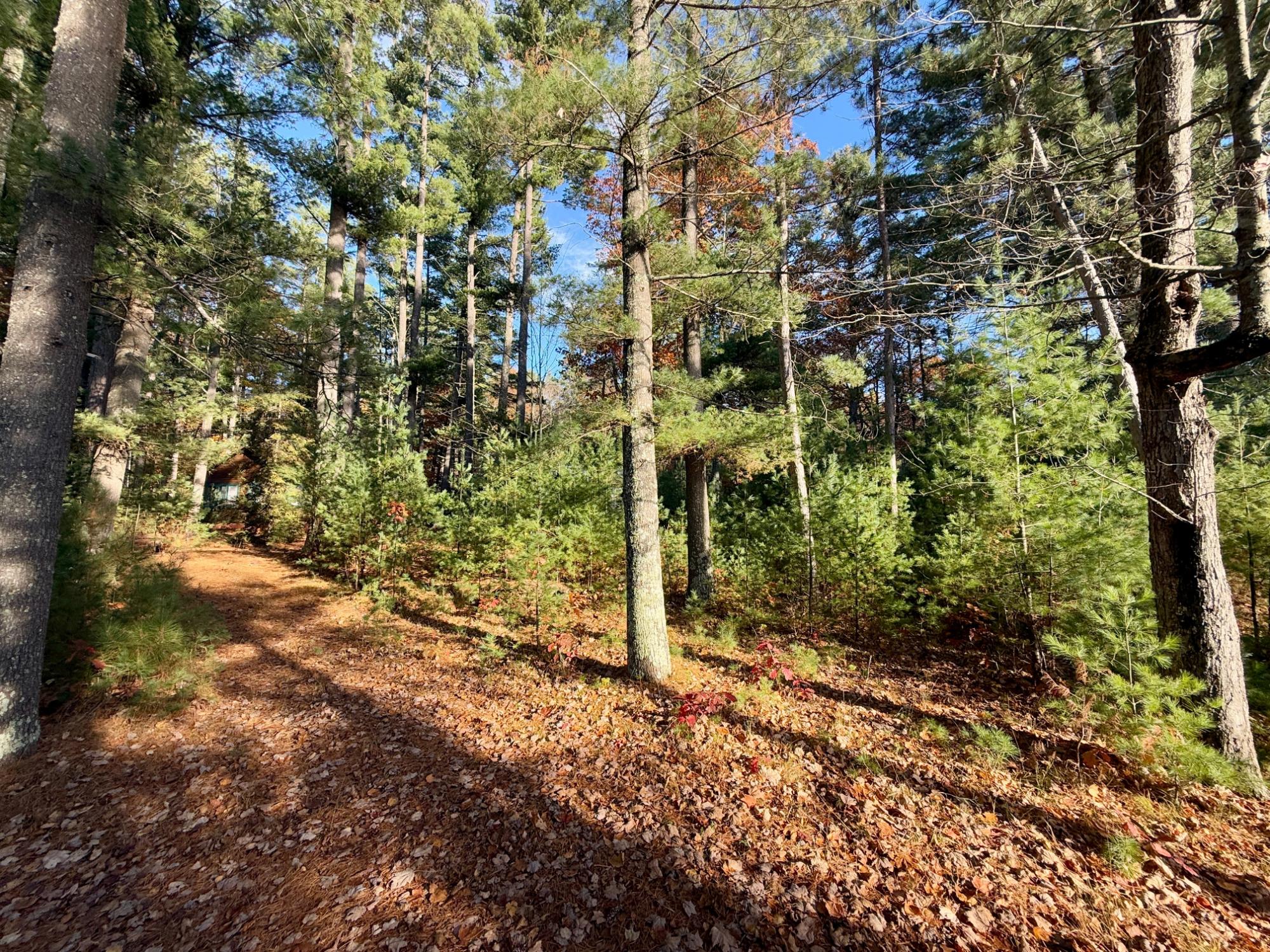 Squirrel Lake Property 7823 Jansen Rd S Photo 8