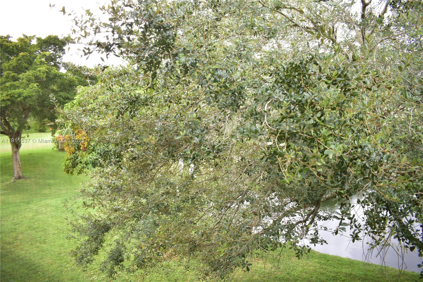 Sunrise Lakes 95 Condo