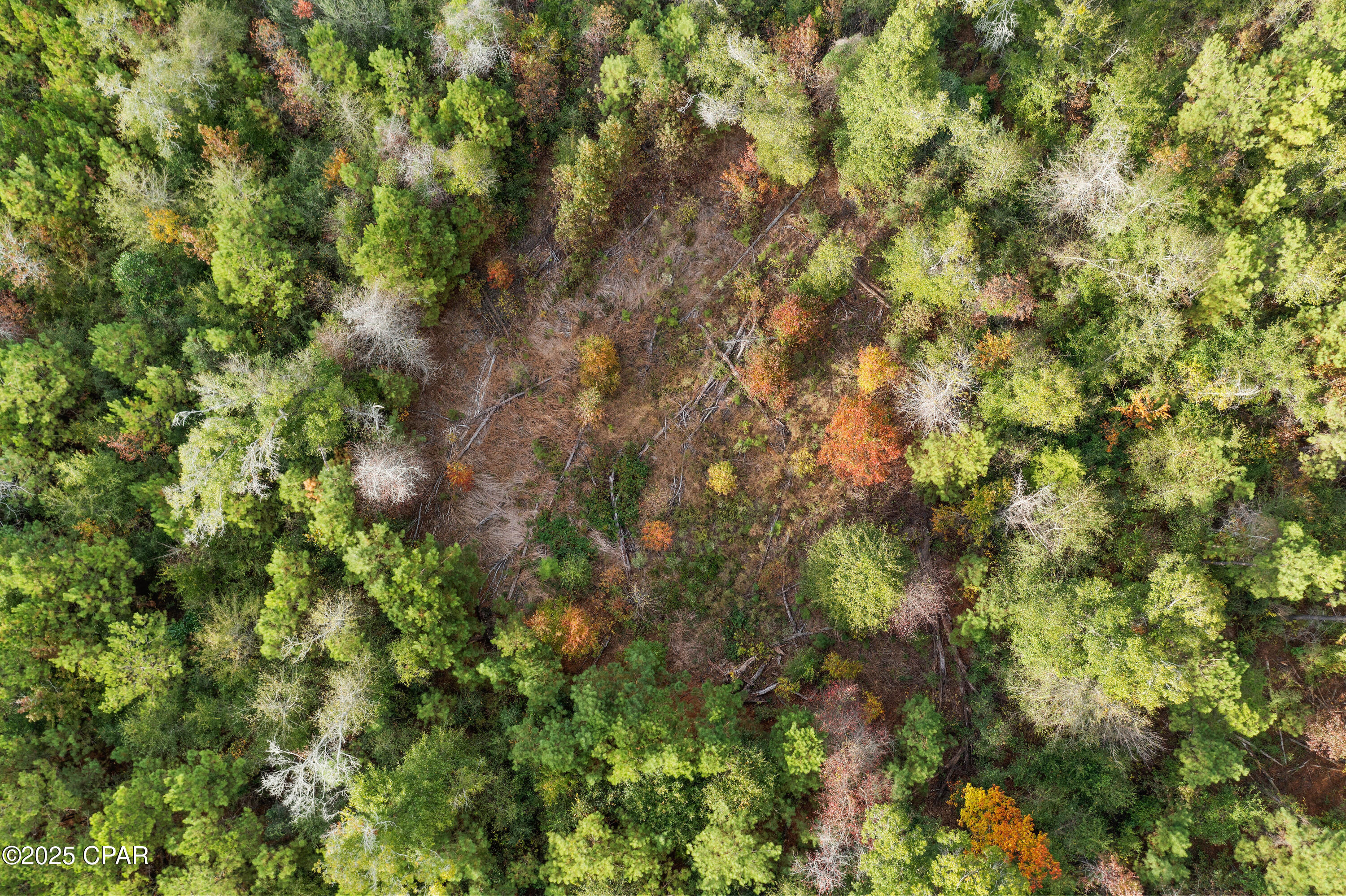 Image 7 For 000 Perry Road