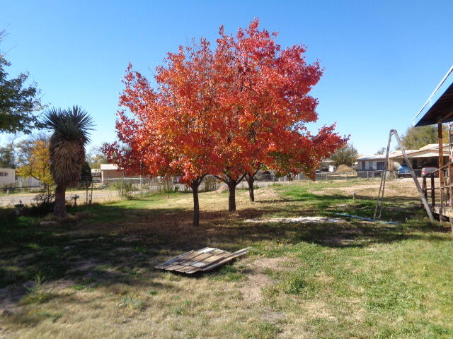 477 Diana Drive Backyard