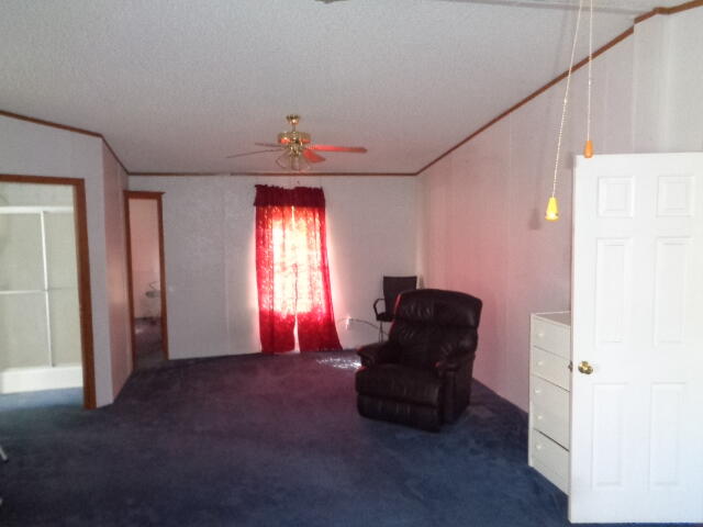 477 Diana Drive Living Room