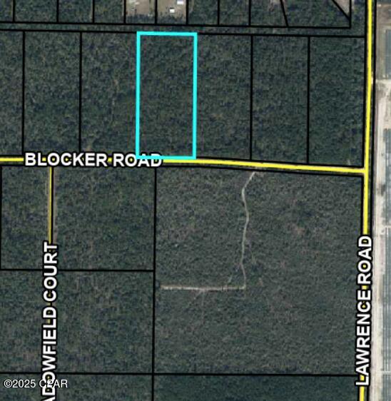 Details for 00 Blocker Road, Greenwood, FL 32443