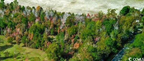 Homes for sale in Conway, SC | Tbd Spring Garden Rd, Conway, SC 29527 | MLS# 2527087