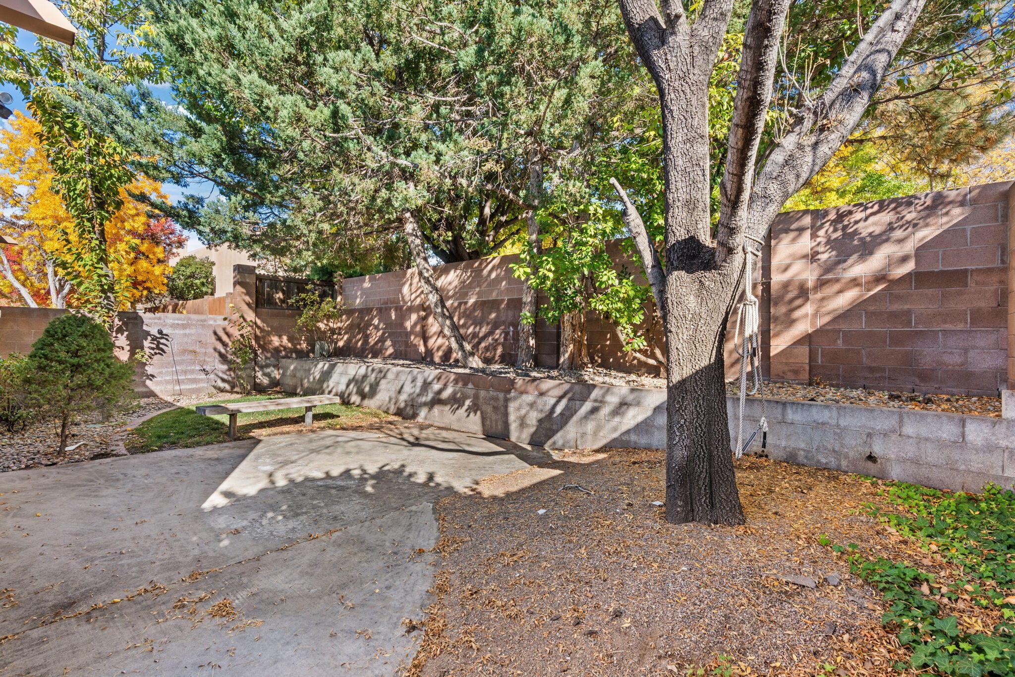 6500 Antares Road NE Backyard