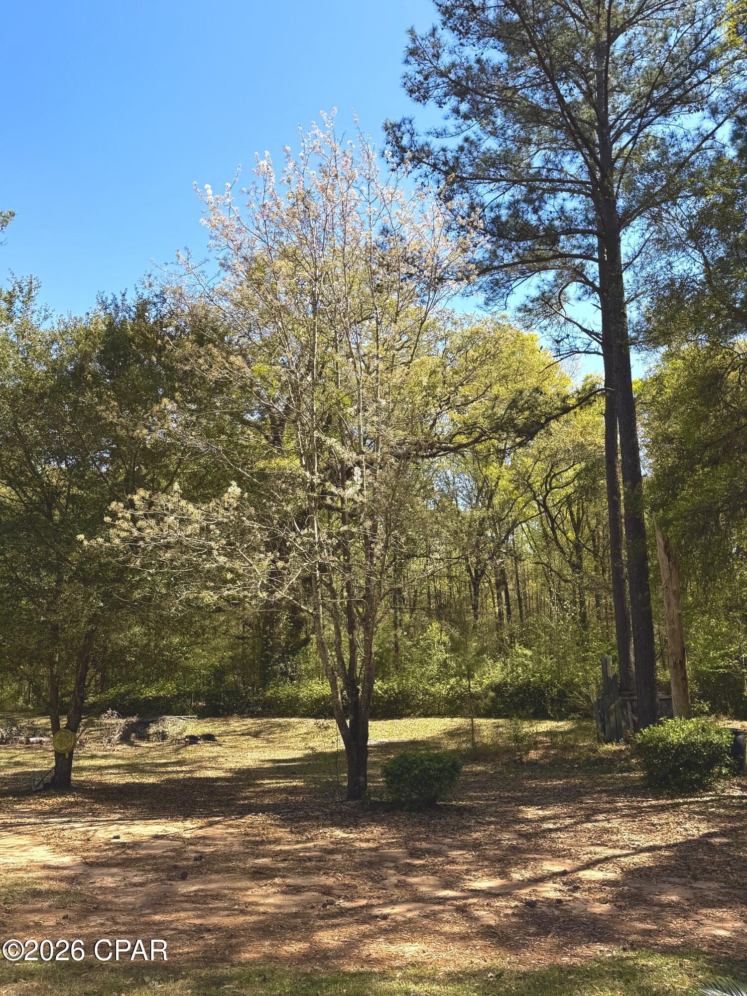 Image 43 For 2729 Highway 2