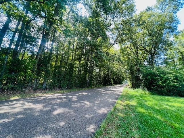 Homes for sale in Angie, LA | 62288 Seal Rd, Angie, LA 70426 | MLS# 2530308