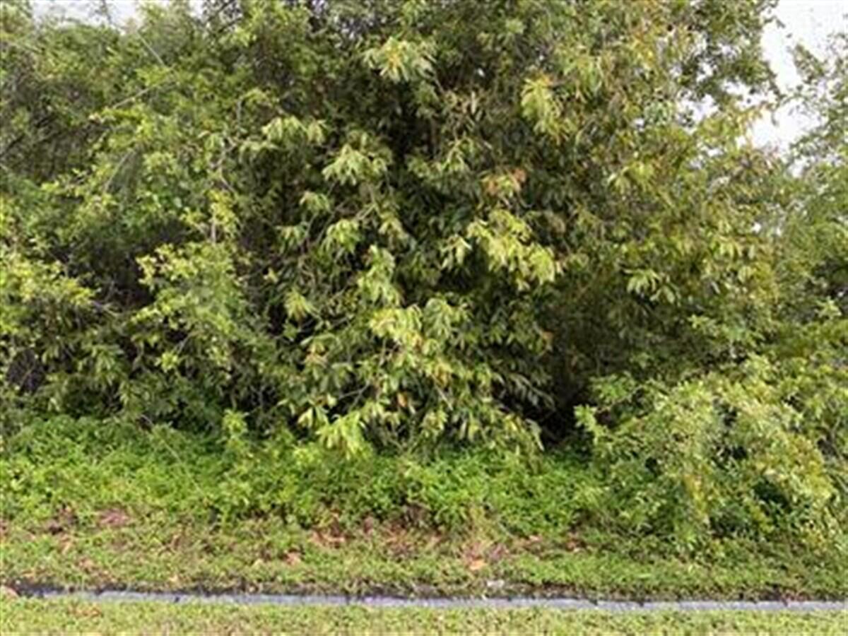 Port St Lucie Section  34