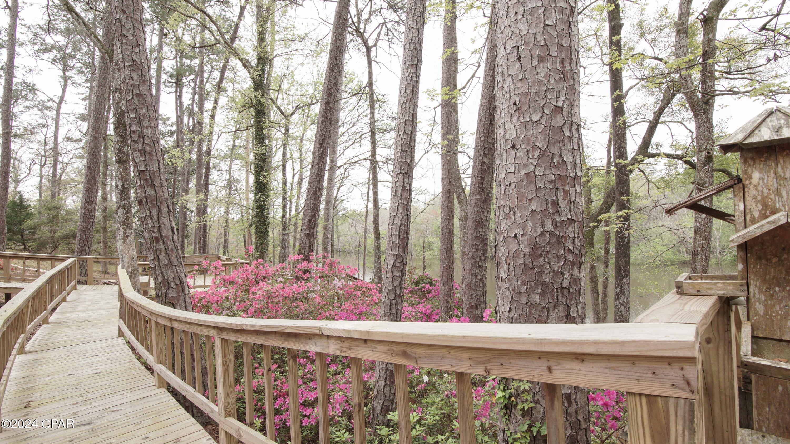 Image 20 For 3640 Lucianne Drive